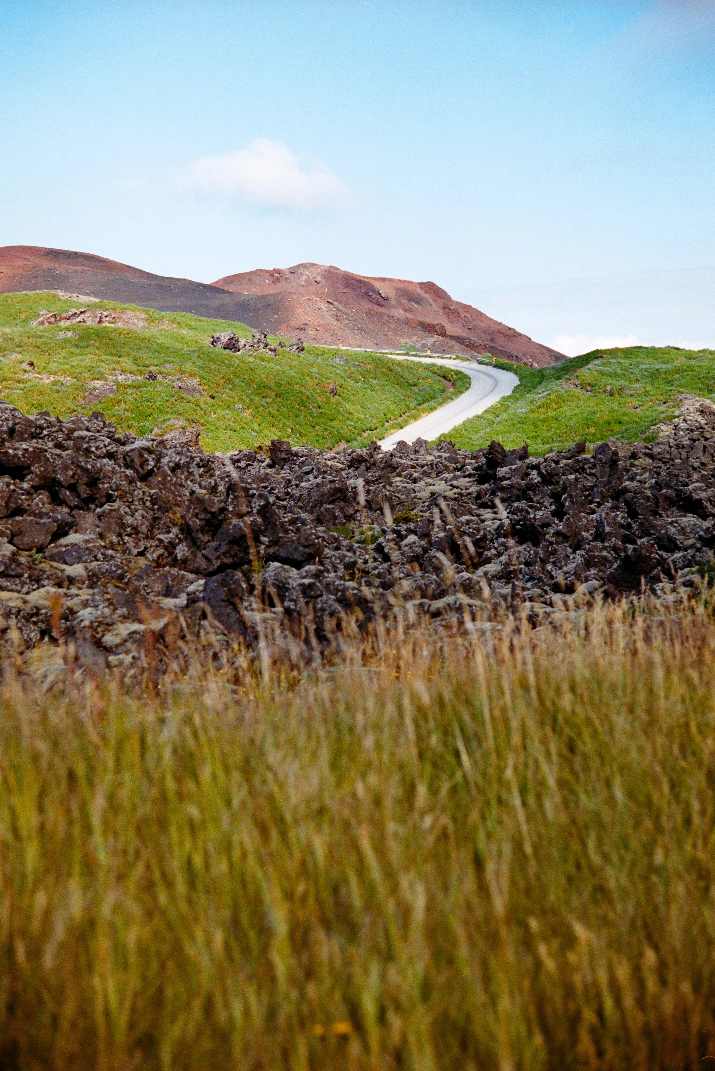 DSC_6973-EDIT.jpg