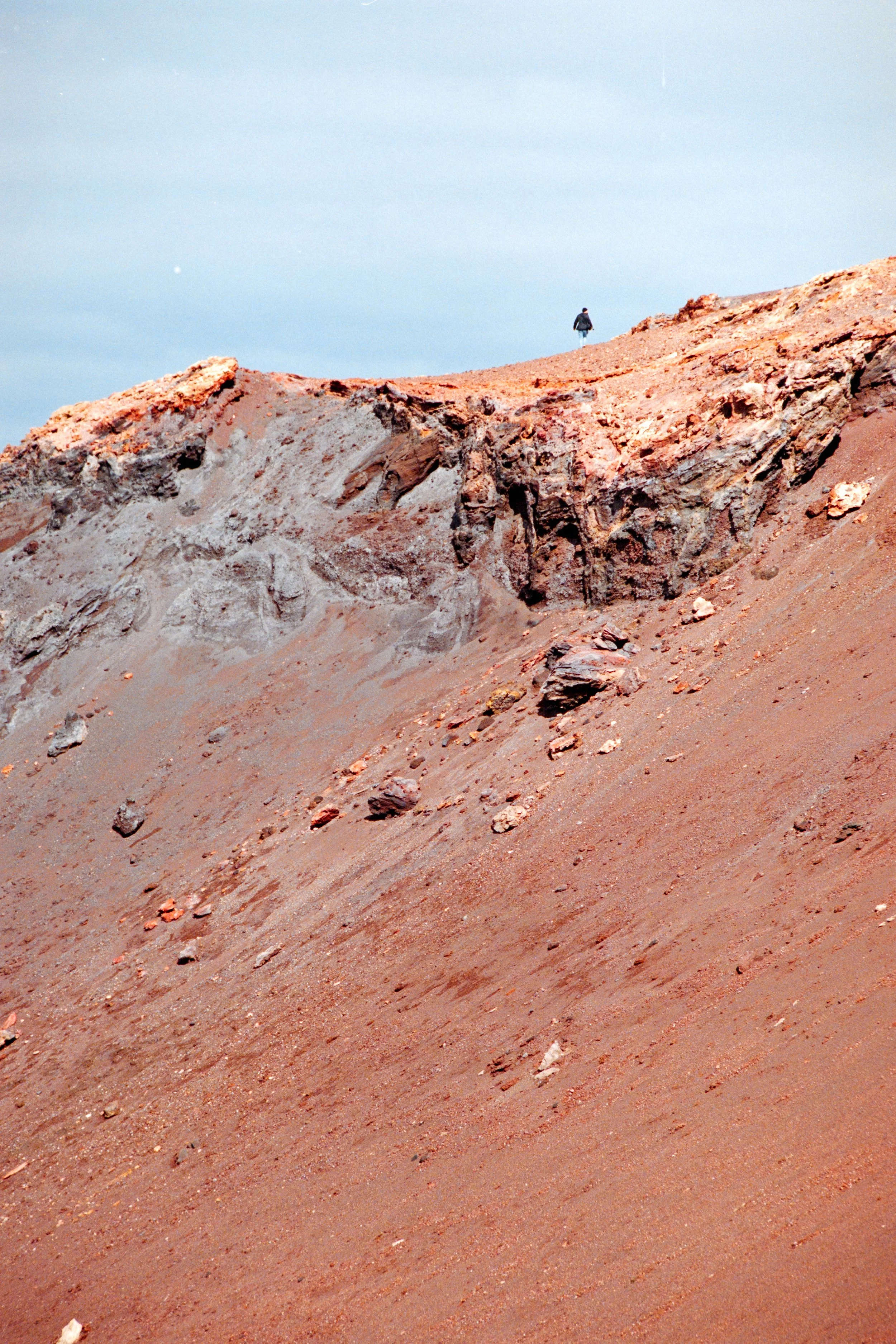 DSC_6971-EDIT.jpg