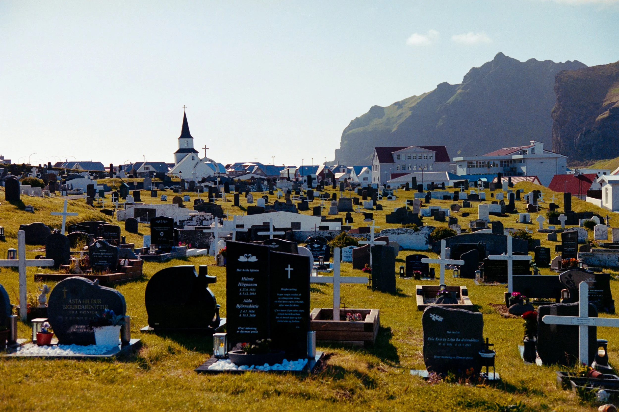 DSC_6936-EDIT.jpg