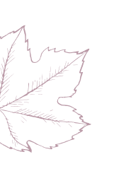 Feuille vigne stylisée en ligne, de couleur violette. Domaine Vert Monts, vignoble belge à Ath (Pays Vert) — cépages interspécifiques, préventes ouvertes.