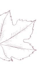 Une feuille d'érable stylisée en ligne rose sur fond noir.