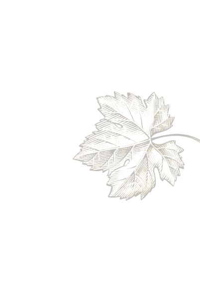 Feuille dorée détaillée sur fond noir.