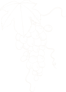 raisin et feuille de vigne stylisés en dessin blanc