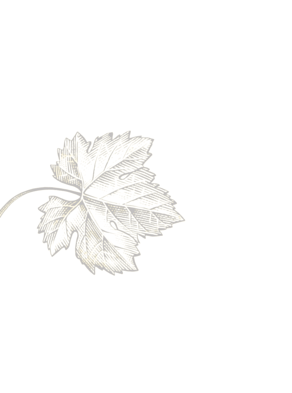 Feuille décorative dorée sur fond noir