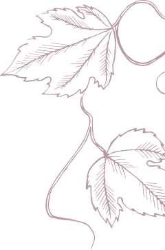Illustration de feuilles de vigne en ligne fine de couleur pourpre sur fond noir.