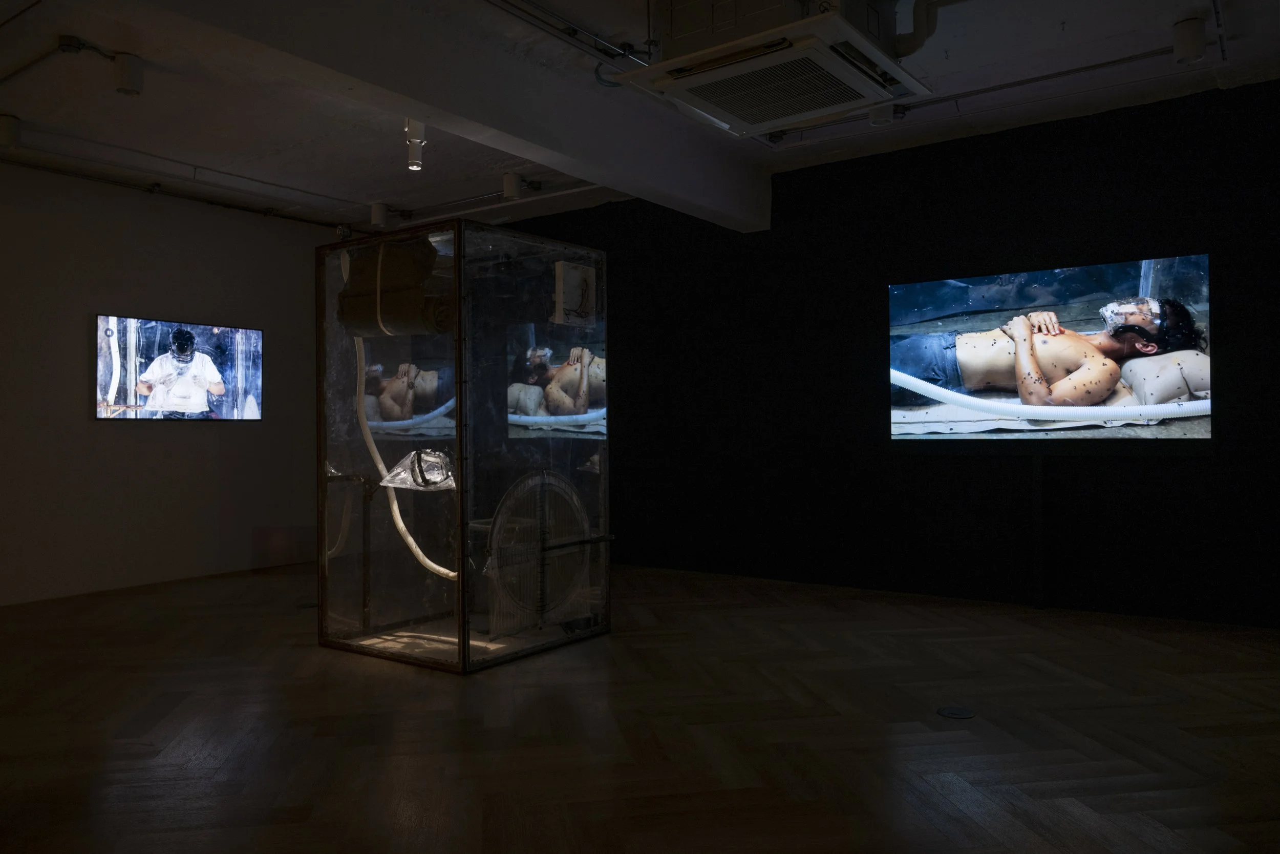 Anthropocene | 13th June - 11th August 2024