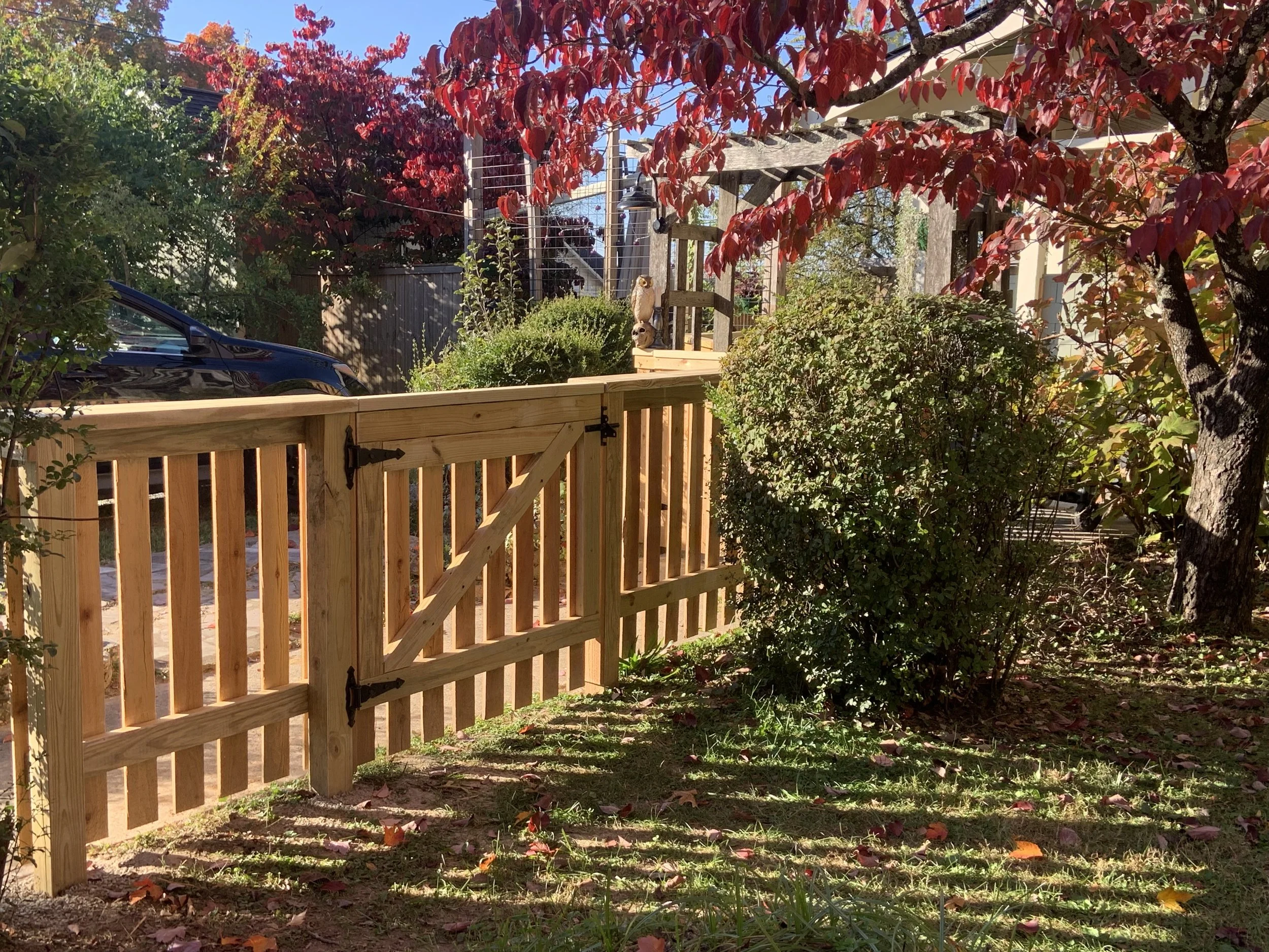 A backyard scene with a wooden gate, green bushes, a tree with red leaves, a parked black car, and a deck with a wire fence and house in the background during daytime.