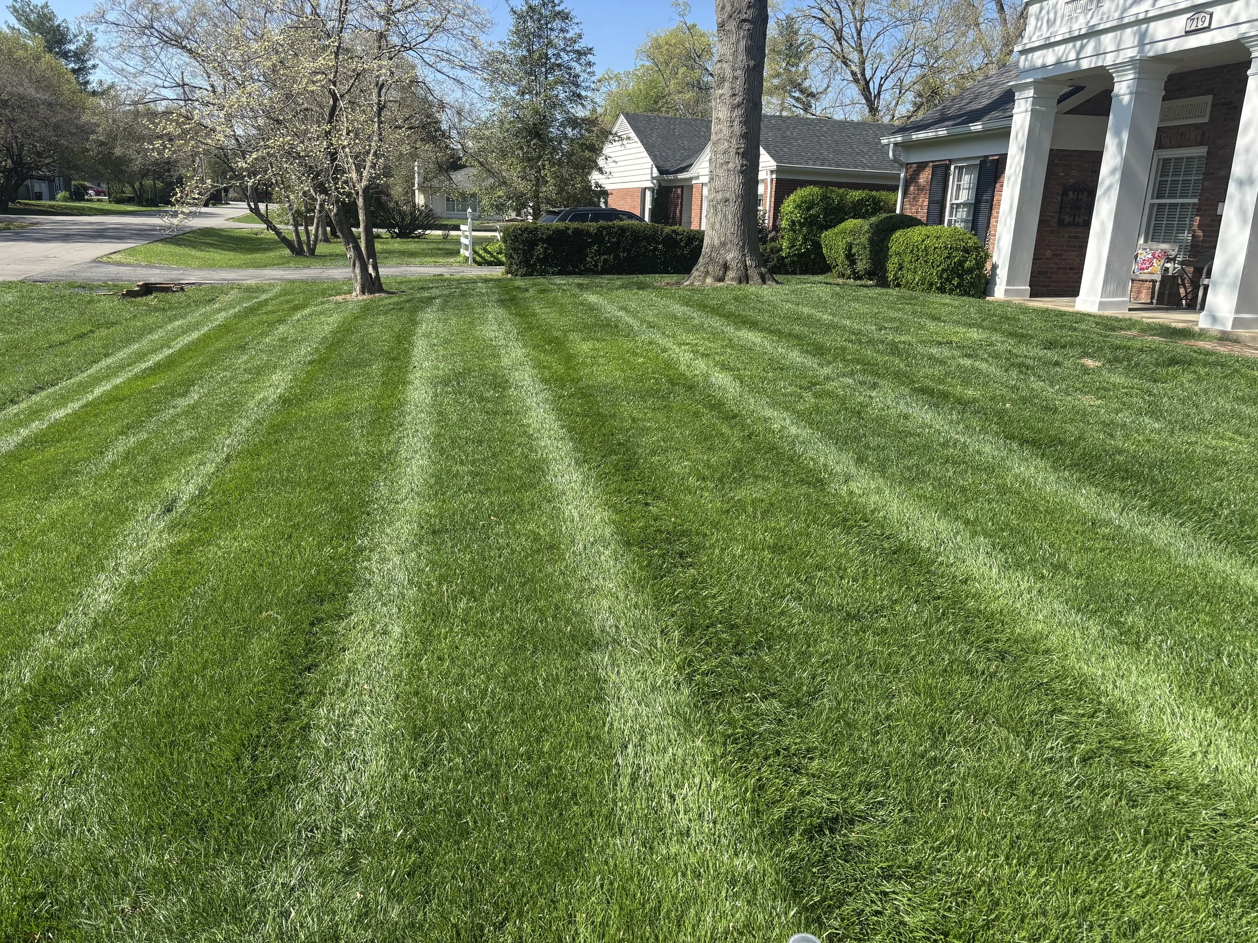 Well-maintained front yard with freshly mowed green lawn with visible mowing lines, a large tree, hedges, a brick house with white columns, and a porch with outdoor furniture.