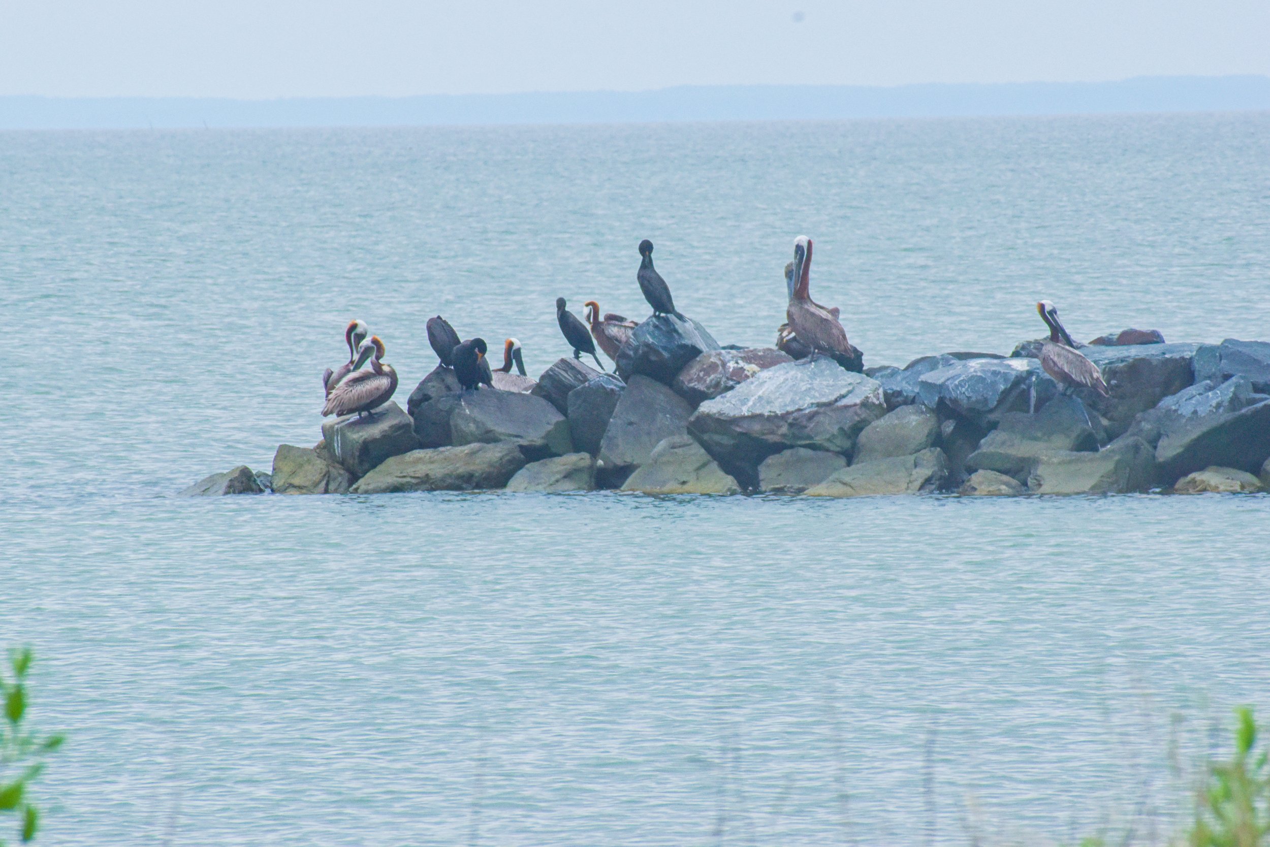 DSC_0017.jpg