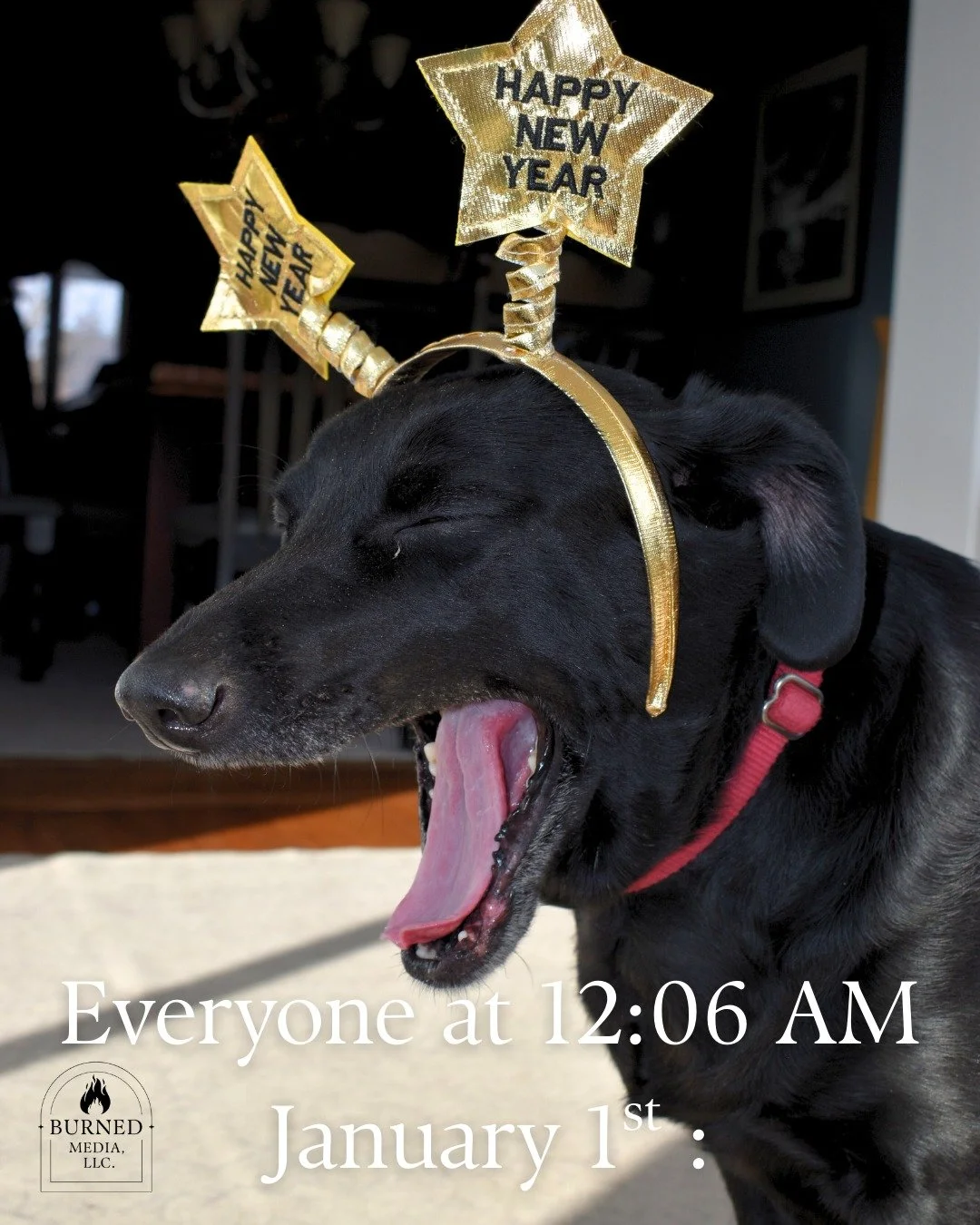 As soon as the ball drops, it is time for bed! 

A little late, but everyone at Burned Media hopes you are having a wonderful start to your 2026! 

When 2026 arrives, and your small business marketing plan needs a nap too 😴🐶 Let&rsquo;s make conten
