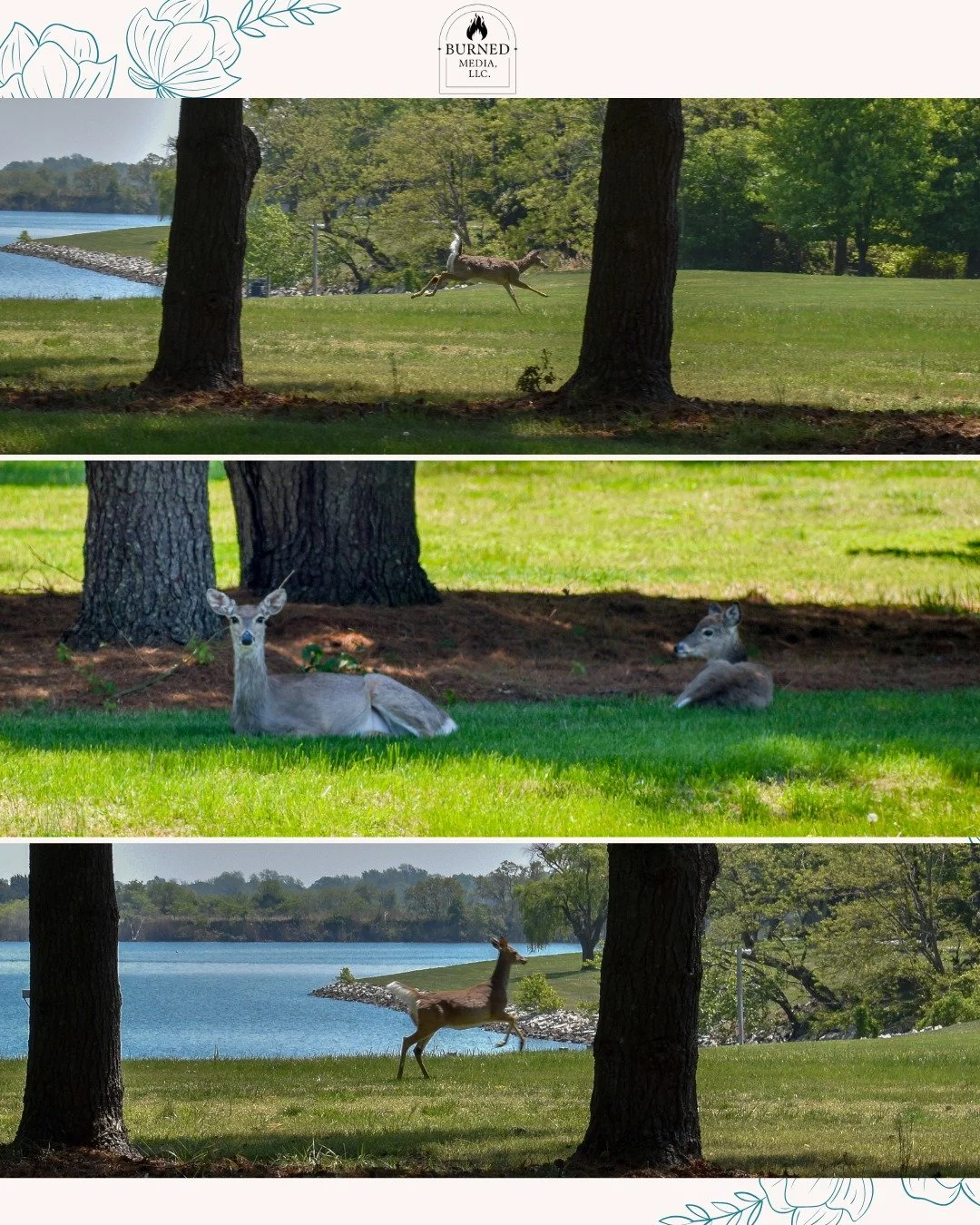 I arrived a little early to a shoot the other day, and had the most wonderful welcoming committee. Thank God I had my camera with me to capture this moment! 

 If your business or organization needs engaging video content, feel free to reach out! I&r