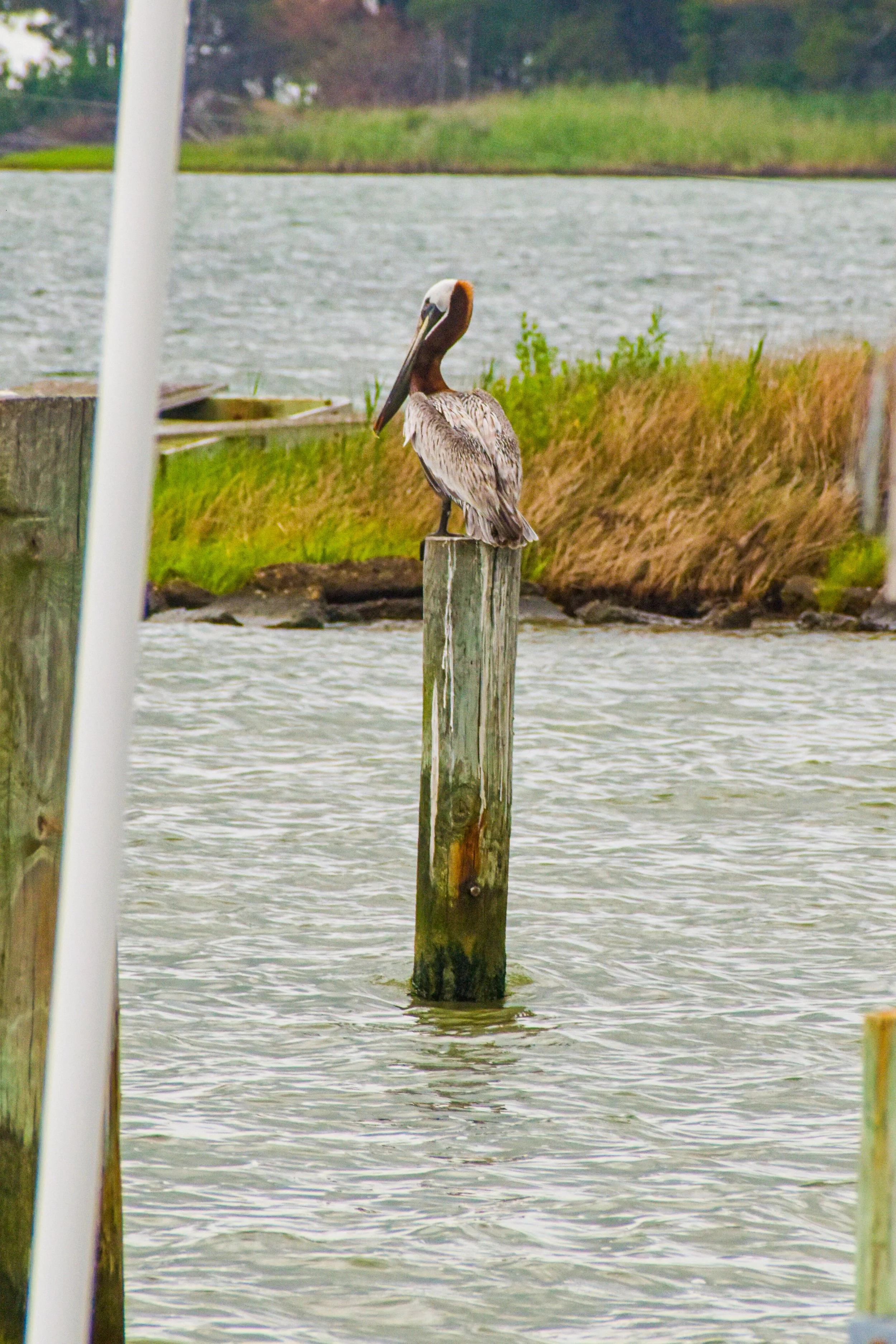 DSC_0164.jpg