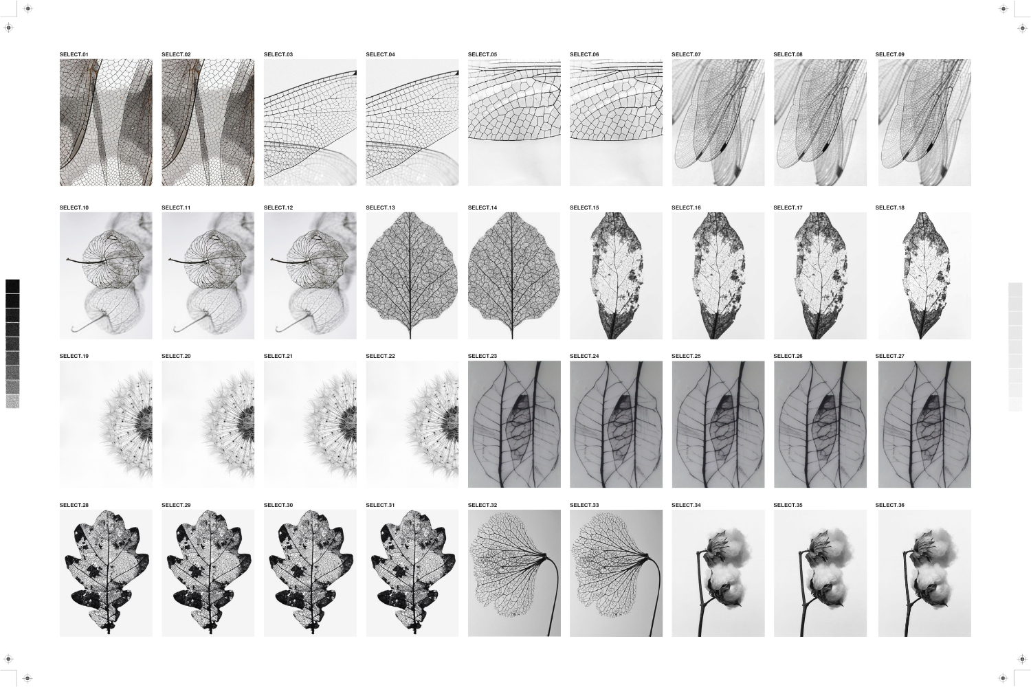 Post-Shoot Folder Structure for Photographers