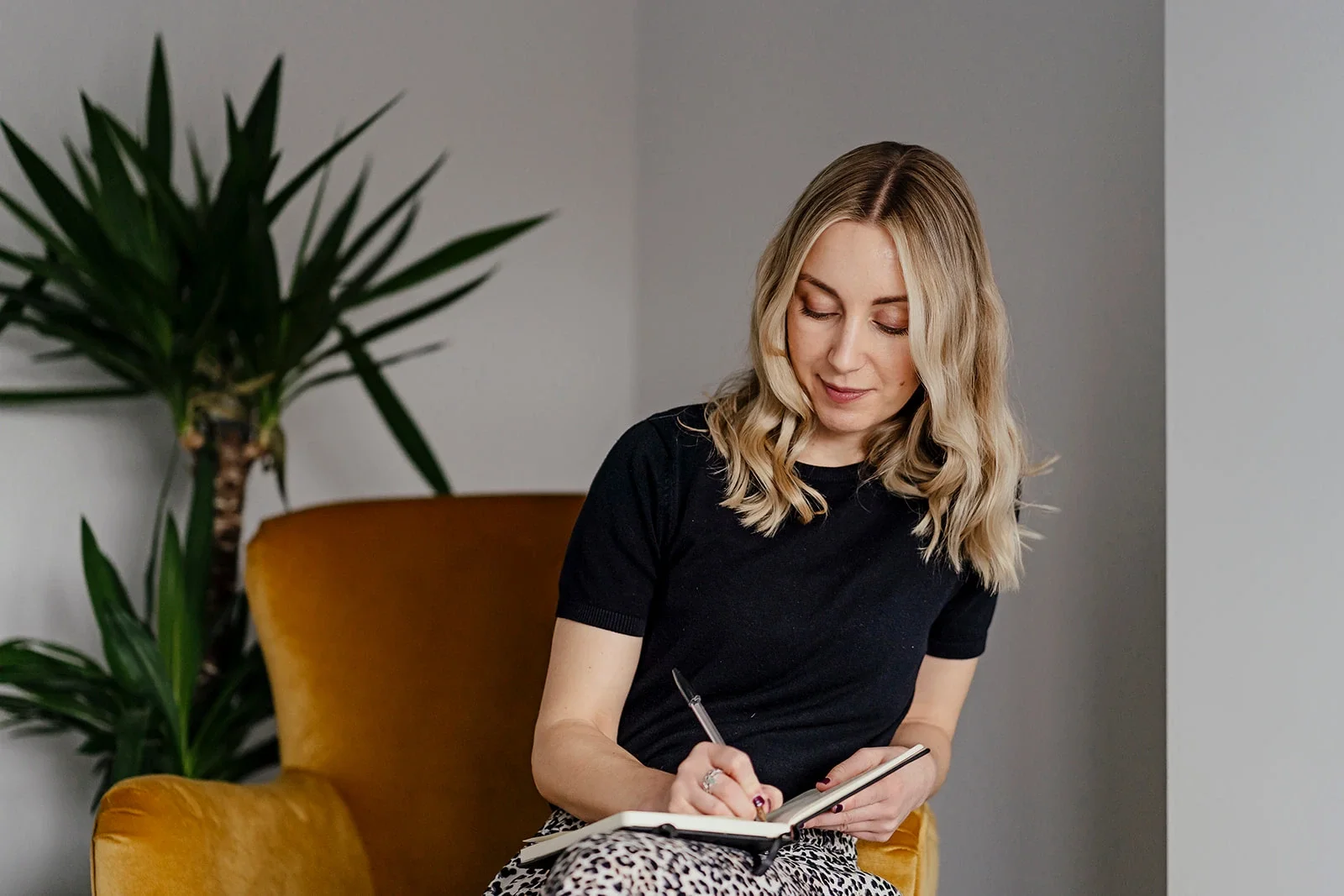 Fractional FD vs a Full-Time Finance Hire vs an Accountant: What Each One Actually Does and How To Work Out What You Need