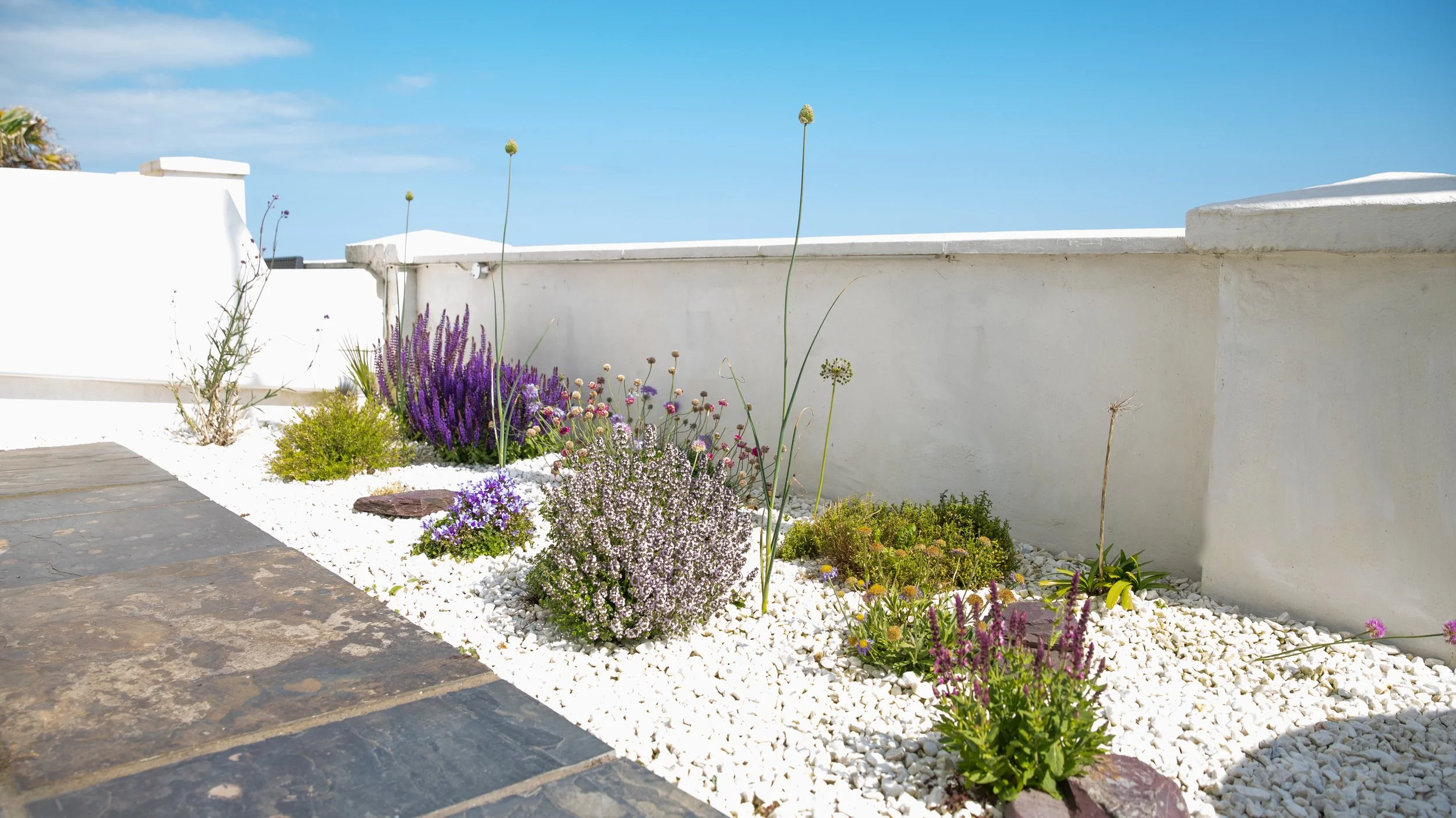 Our Coastal Flowerbed