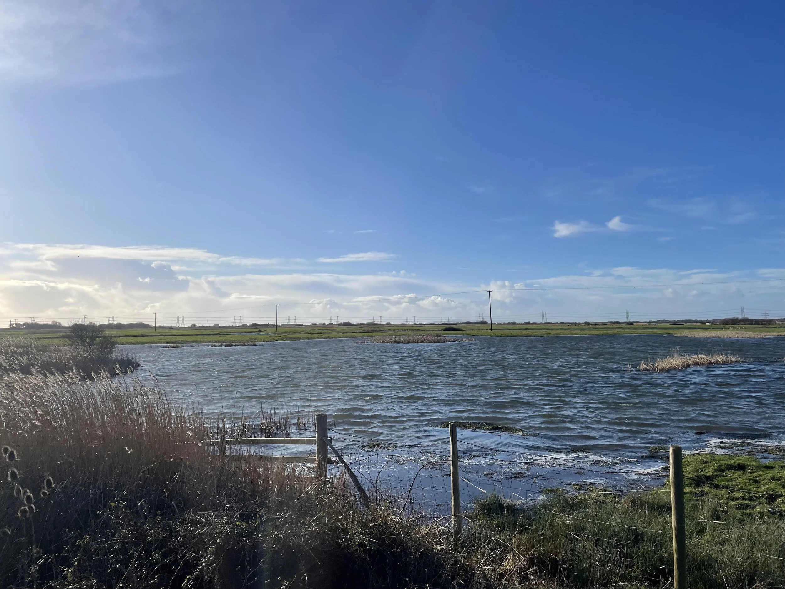 Dungeness National Nature Reserve