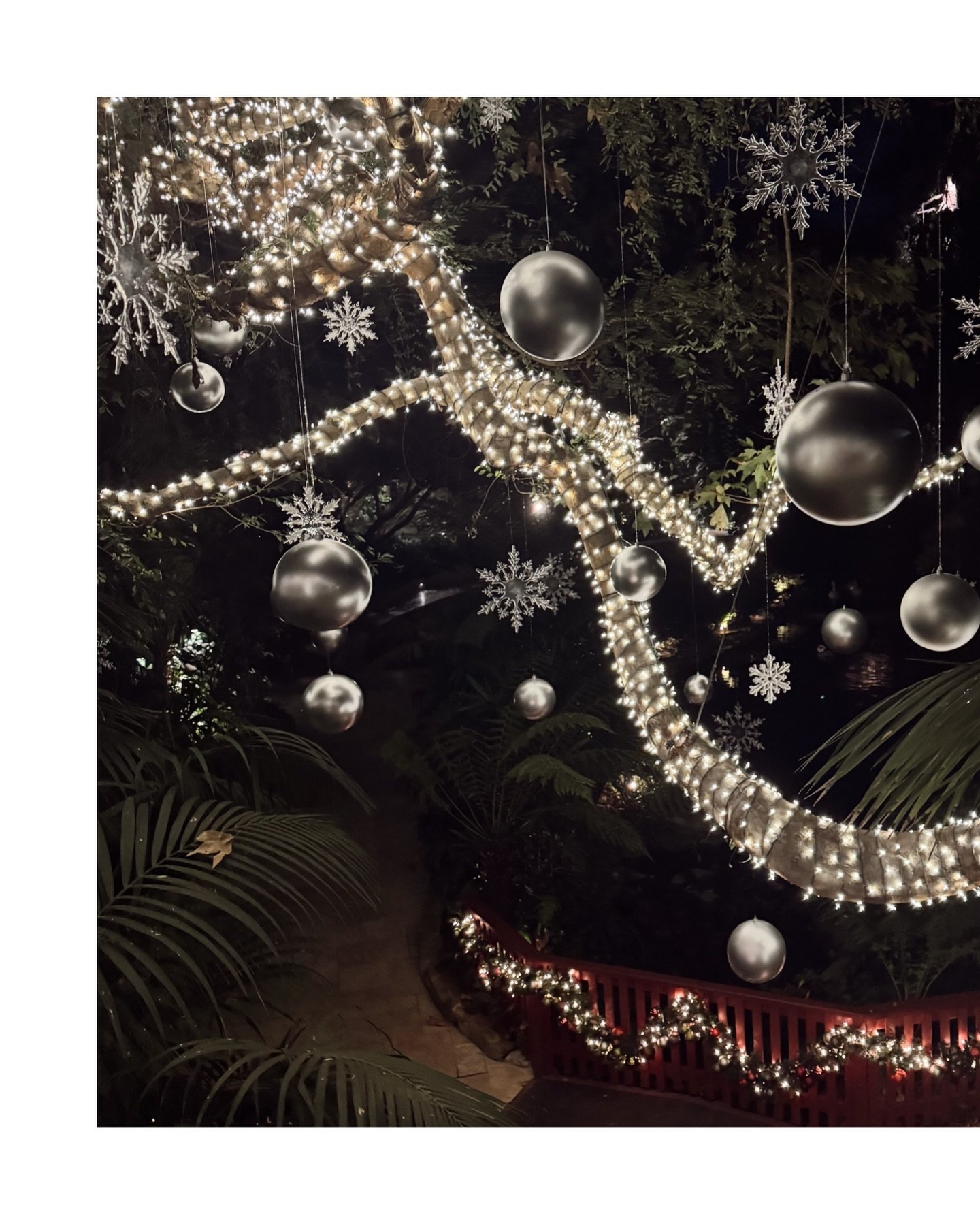 The holidays are here, and we&rsquo;re sharing our golden rules for hosting a holiday party. Sign up for our newsletter at the link in bio for the full list, but here&rsquo;s a little preview:

🕯️Lighting, lighting, lighting! Dimming the overheads, 