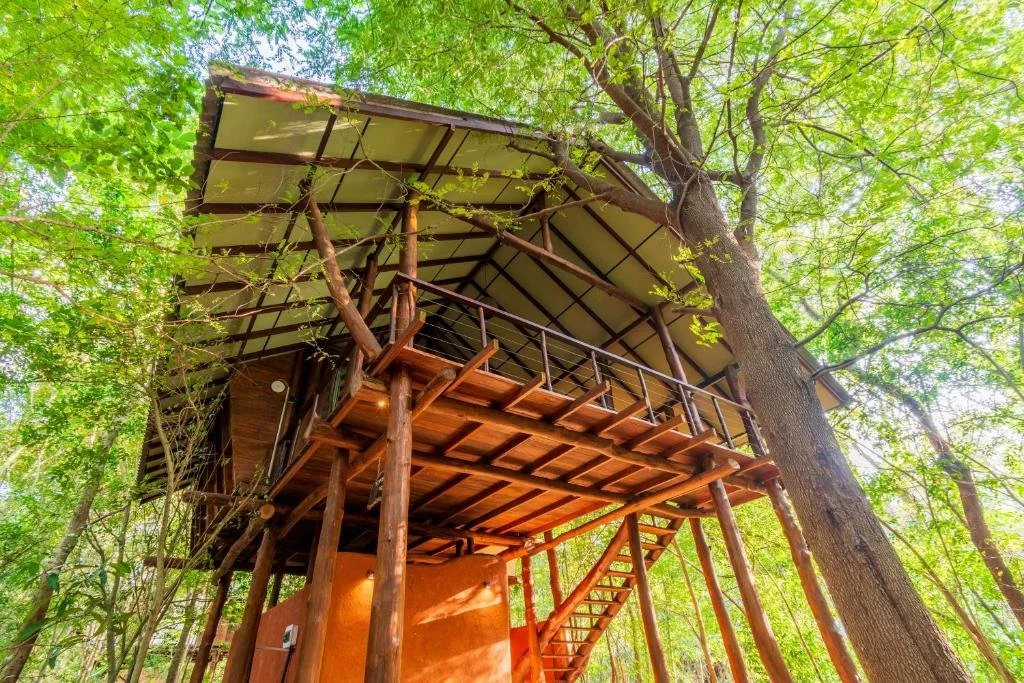 Wooden treehouse accommodation surrounded by tropical forest at Kaala Kalaththewa Luxury Eco Resort