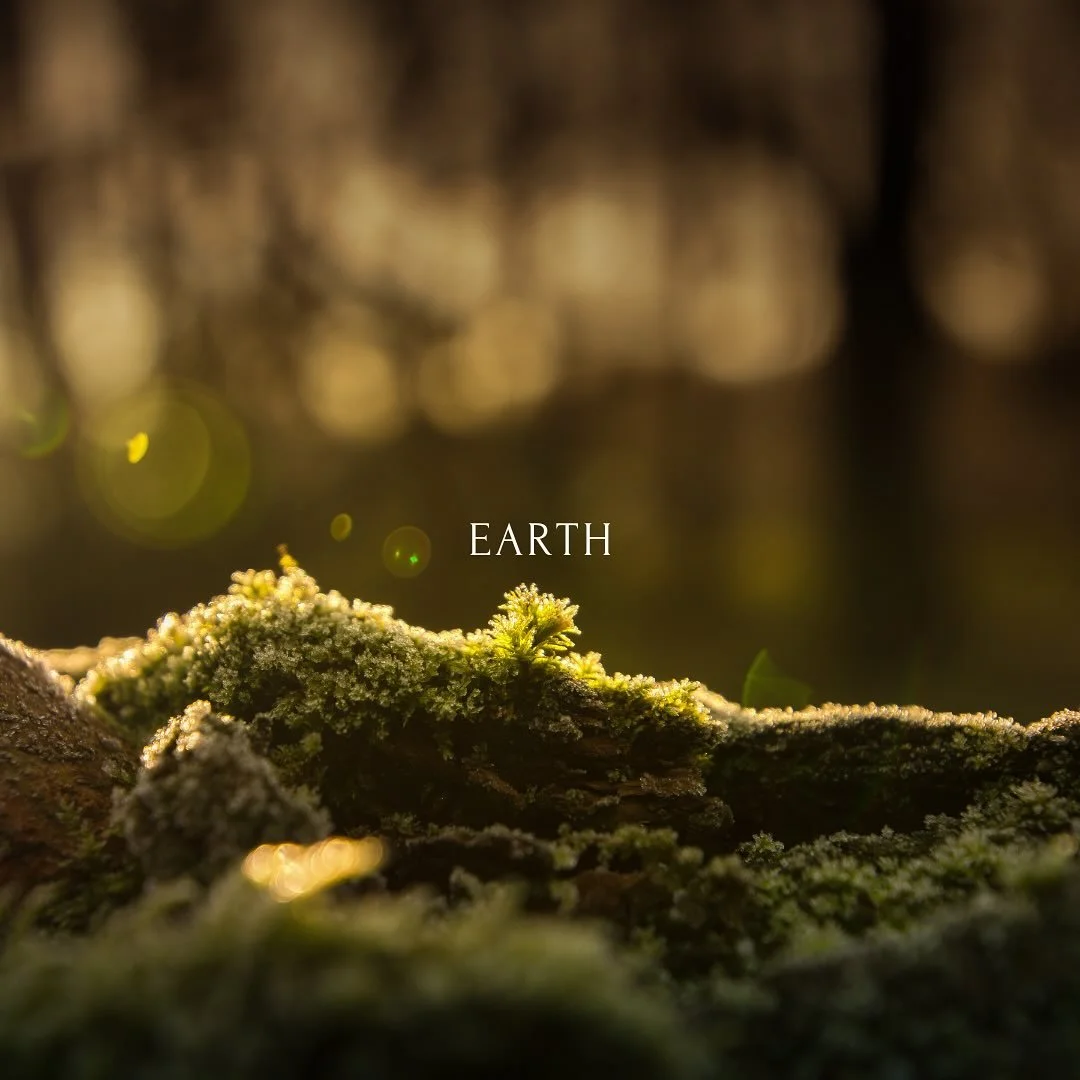 🌍 Earth Element in Seichim Reiki 🌿
Ground &bull; Heal &bull; Stabilise

In Seichim Reiki, the Earth element brings grounding, strength, and support. It connects us to our physical body and the present moment, helping us feel safe, centered, and who