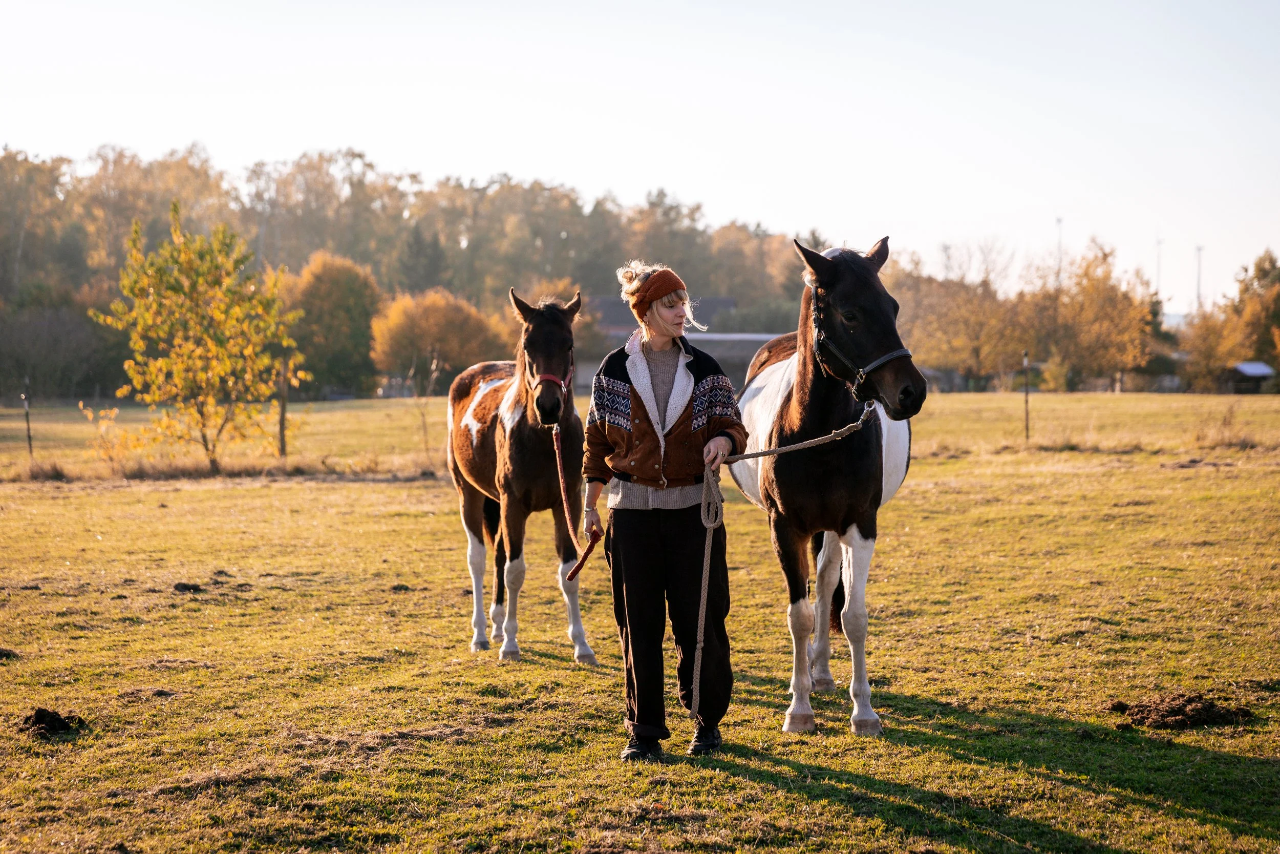 A woman walking two horses across a grassy field during sunset, with trees in the background.