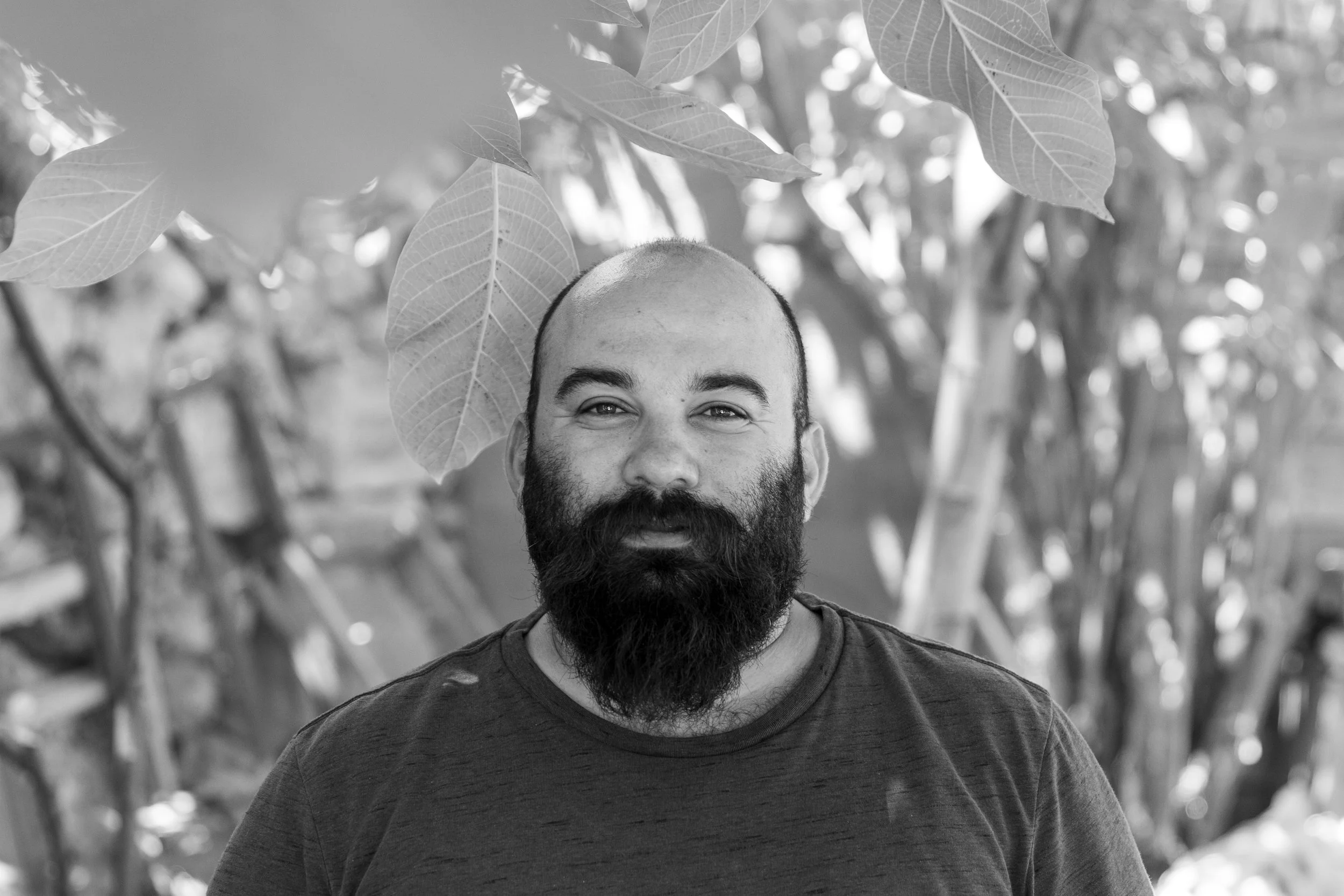 A man with a beard looking at the camera, standing outdoors among large leaves and plant stems.