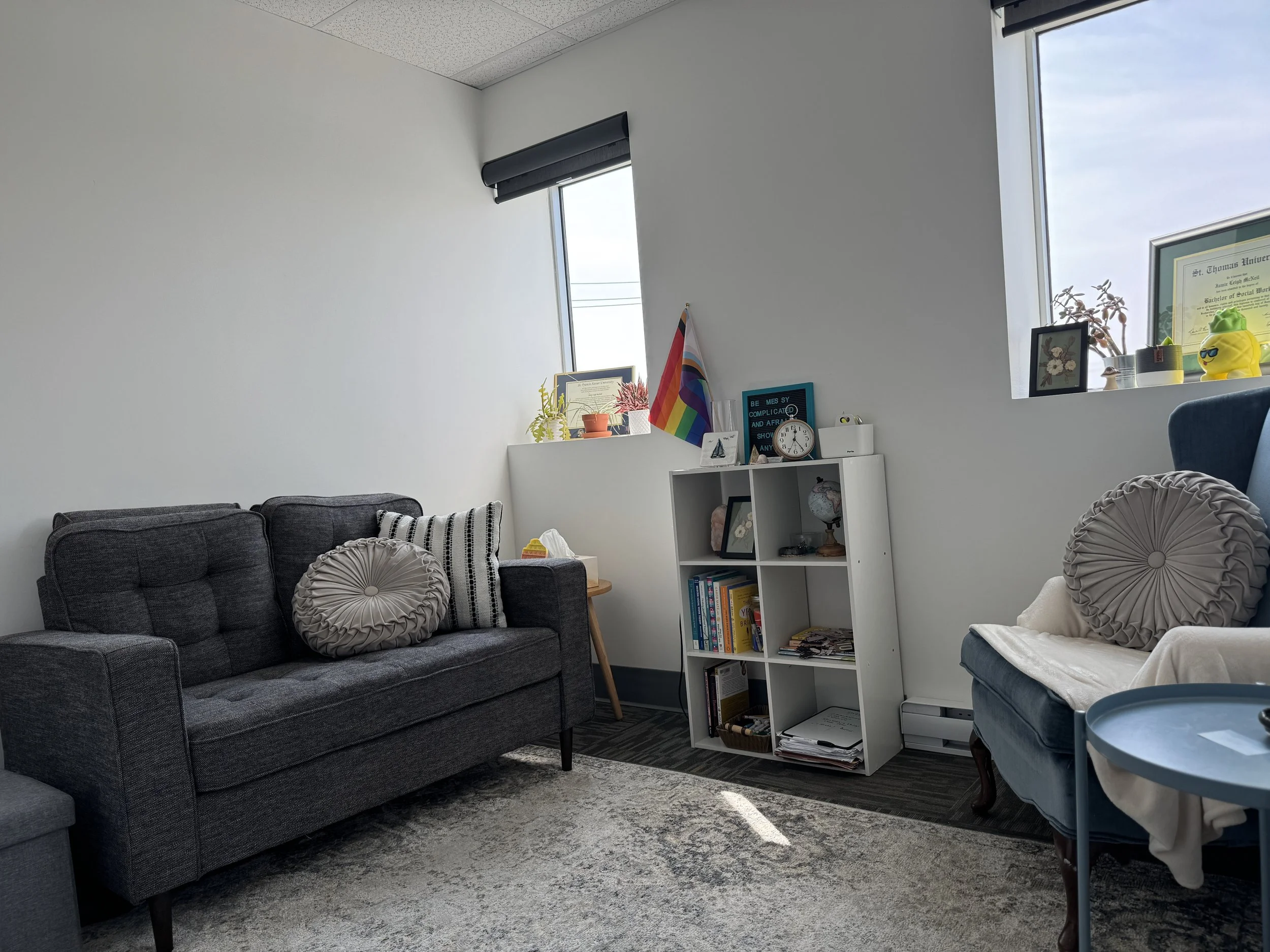 A cozy living room with a gray sofa, a white bookshelf filled with books and trinkets, a window with sunlight, and pride flags on the wall.