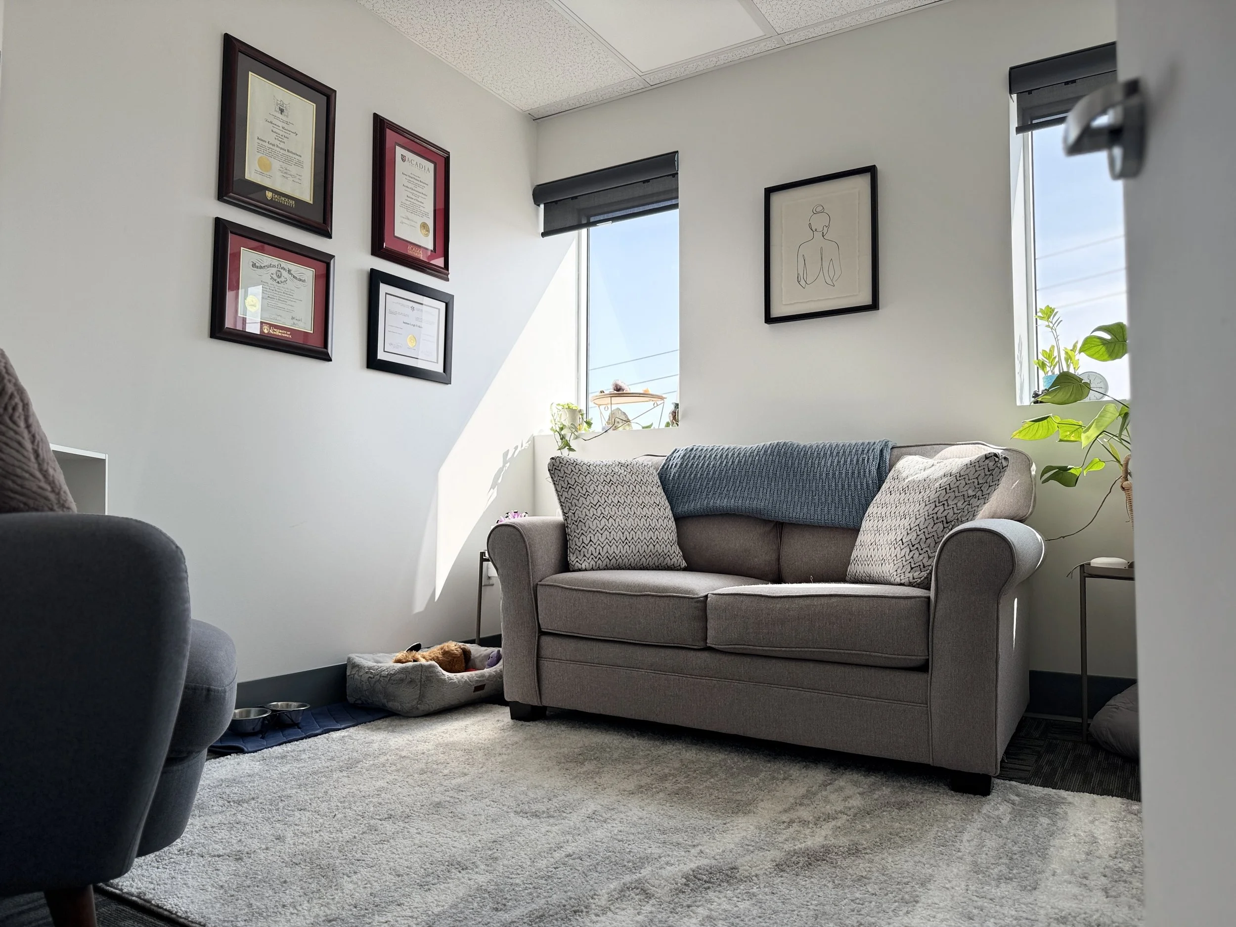 Cozy living room with a light gray sofa decorated with pillows and a blue blanket, windows allowing sunlight, framed certificates on the wall, a plant on a side table, a pet bed with a stuffed animal, and wall art, with a carpet and an armchair parti