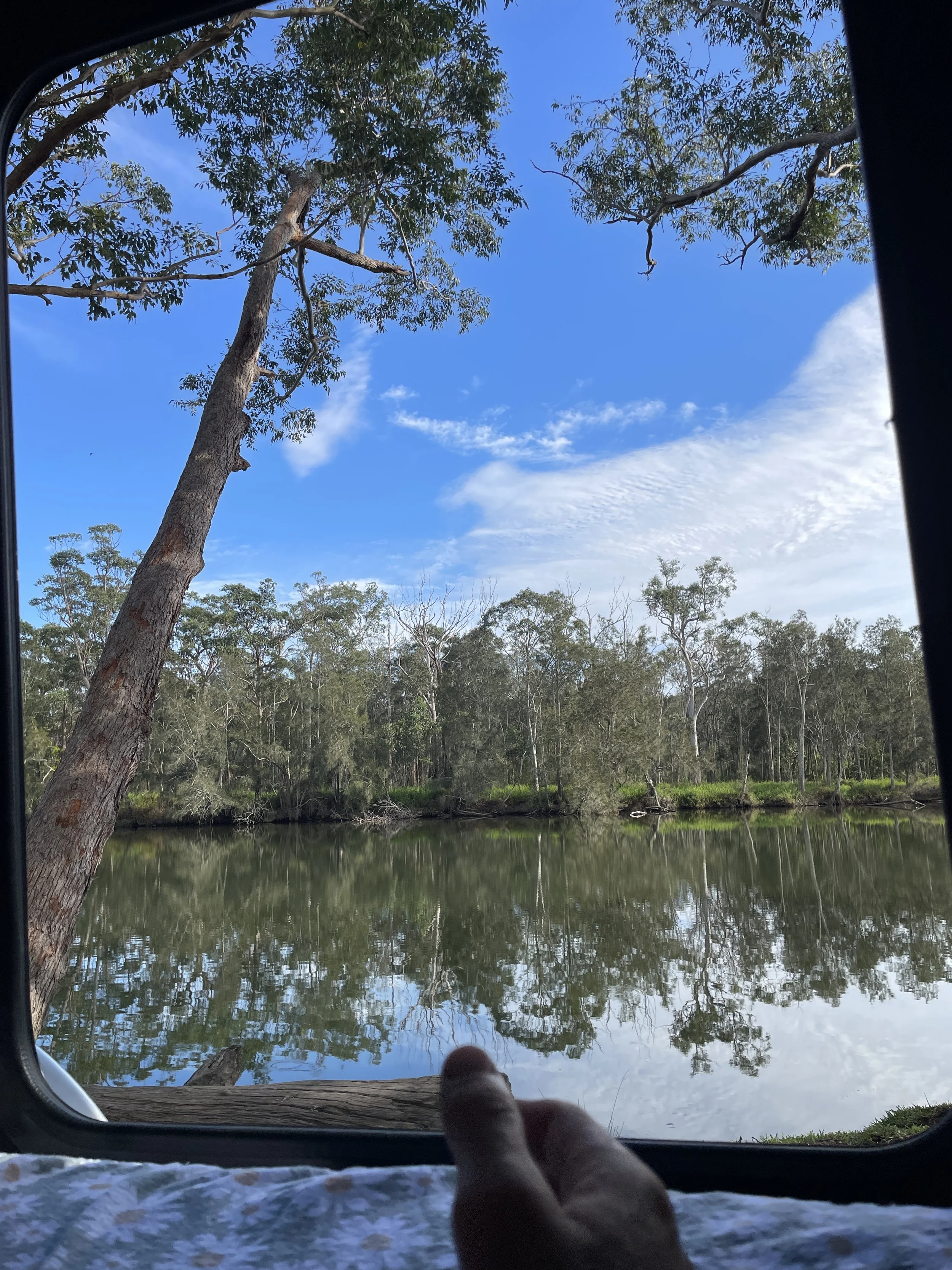 View of a calm river reflecting trees and a blue sky with some clouds, taken from inside a vehicle or tent with a hand in the foreground.