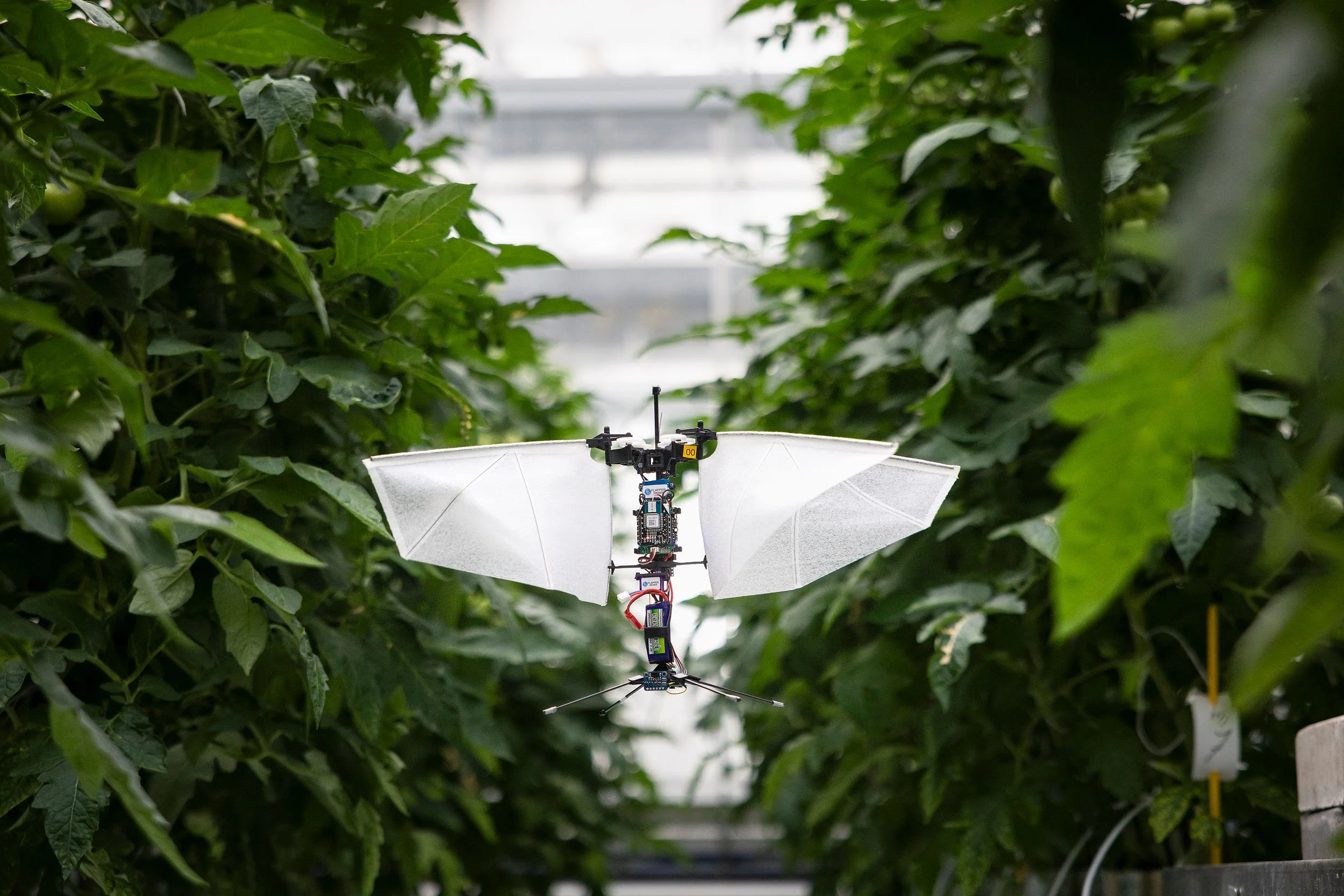 Delft becomes a living research lab