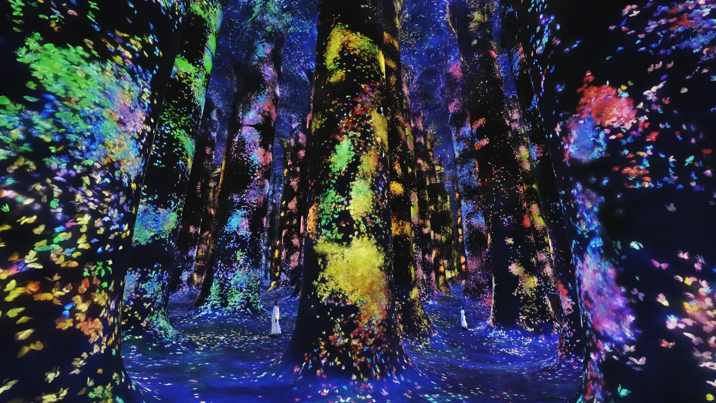 An immersive digital art installation of a forest with tall trees, illuminated with colorful projections of flowers and leaves, creating a vibrant and magical atmosphere.