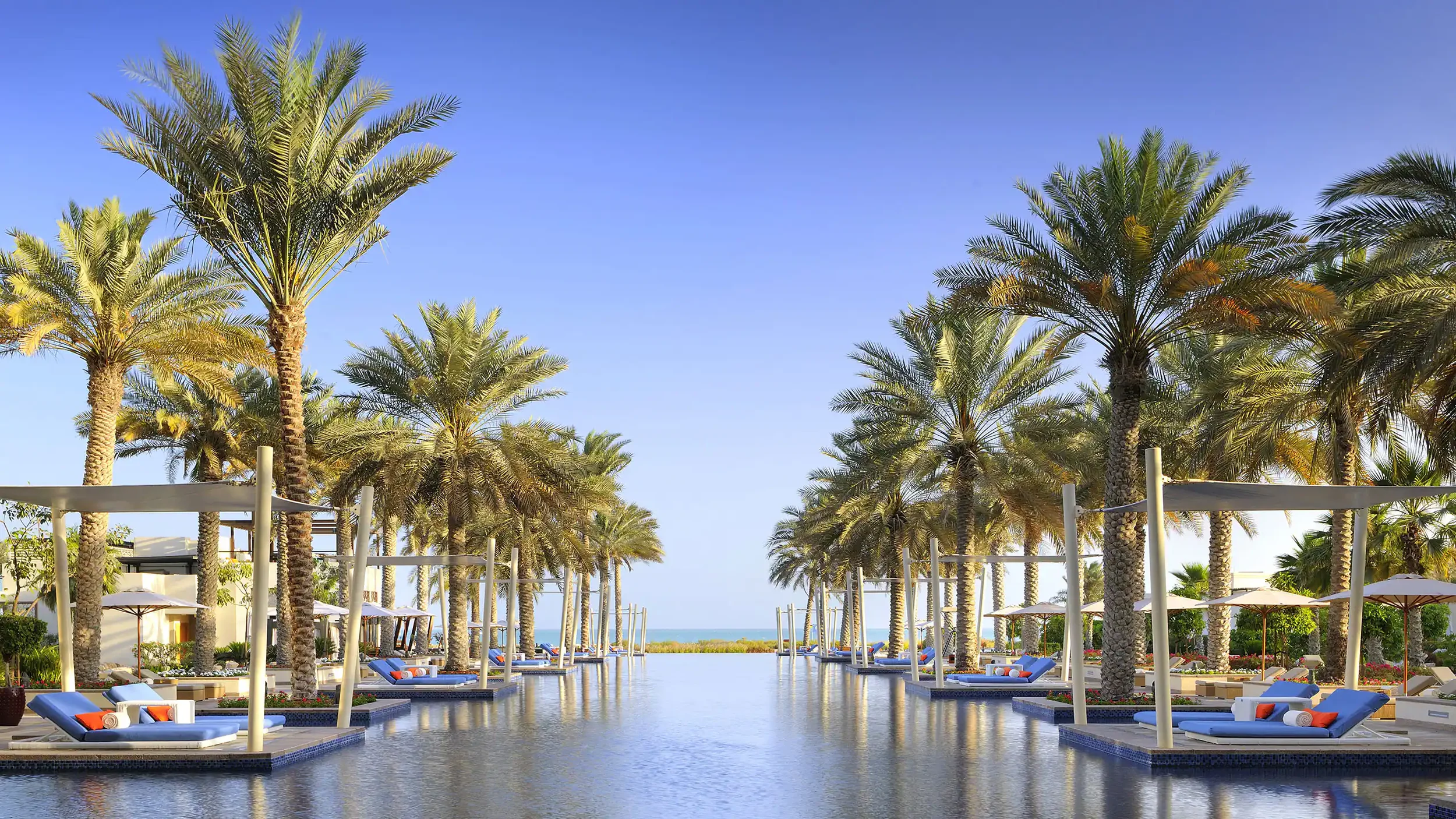 Luxurious swimming pool area lined with tall palm trees and lounge chairs with umbrellas, overlooking the ocean on a sunny day.