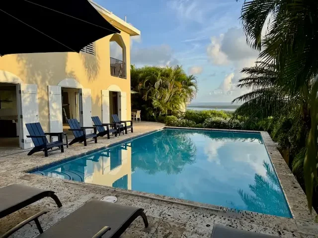 Poolside view surrounded by palm trees, with a view of the ocean in the background.
