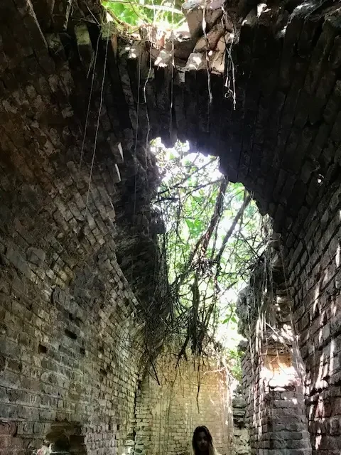 sugar mill .webp