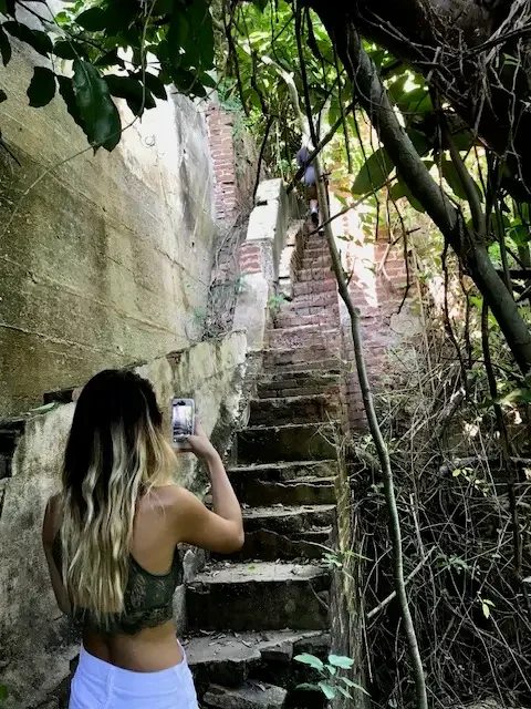 sugar mill2.webp