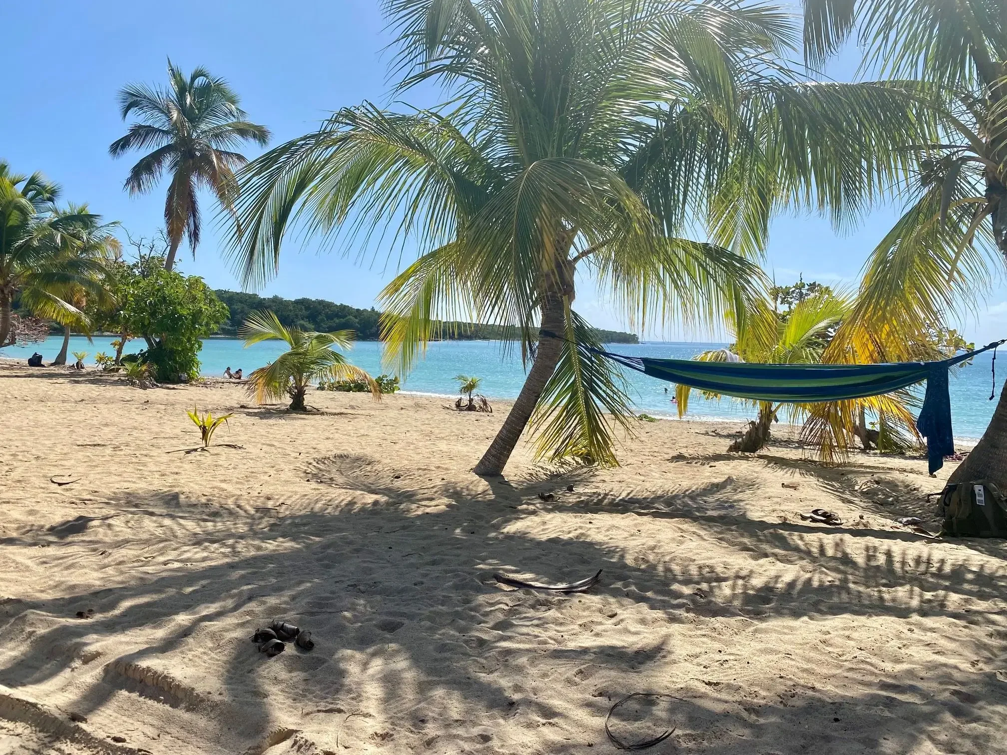 5 PERFECT DAYS IN VIEQUES