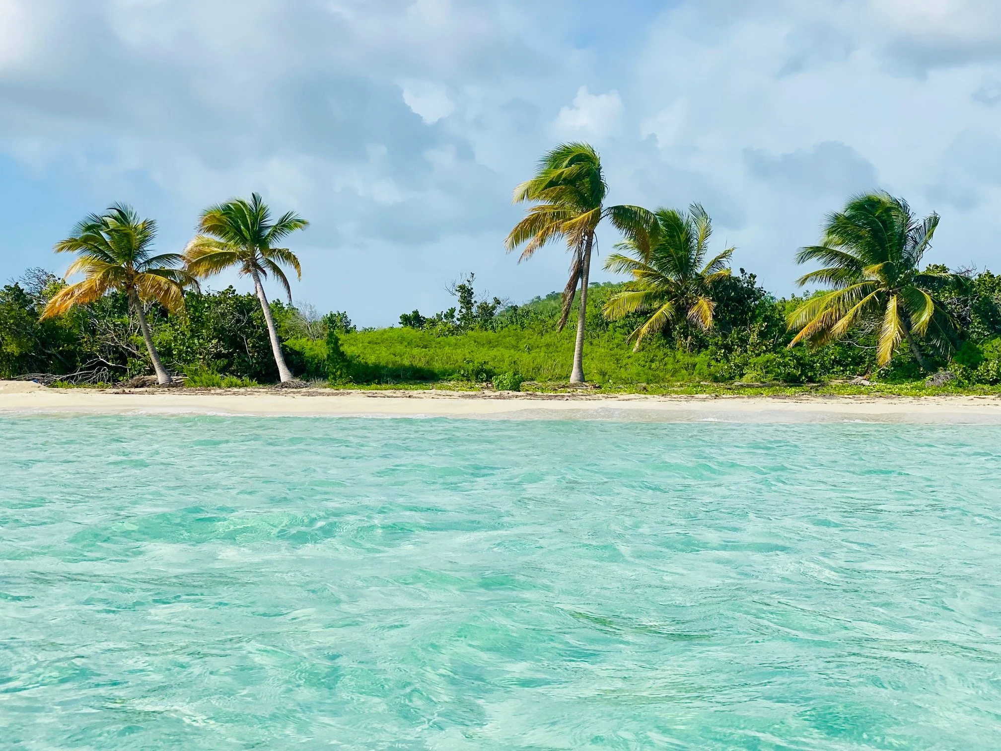 Tropical beach scene with turquoise water, sandy shore, and palm trees against a partly cloudy sky.