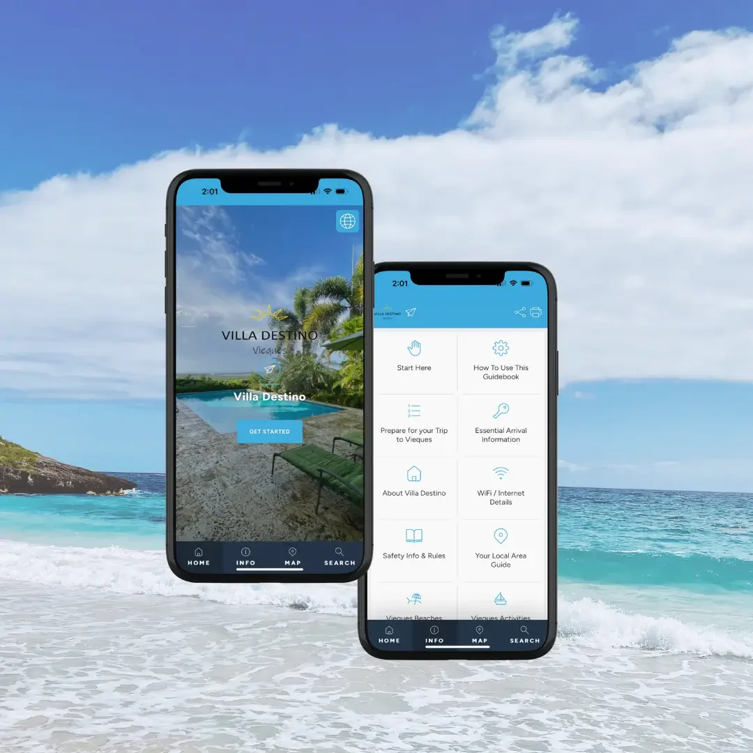 Your virtual guide instagram.webp