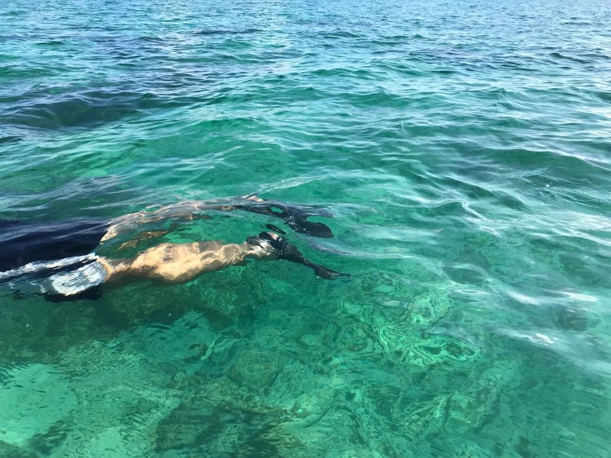 A person swimming underwater in clear ocean water