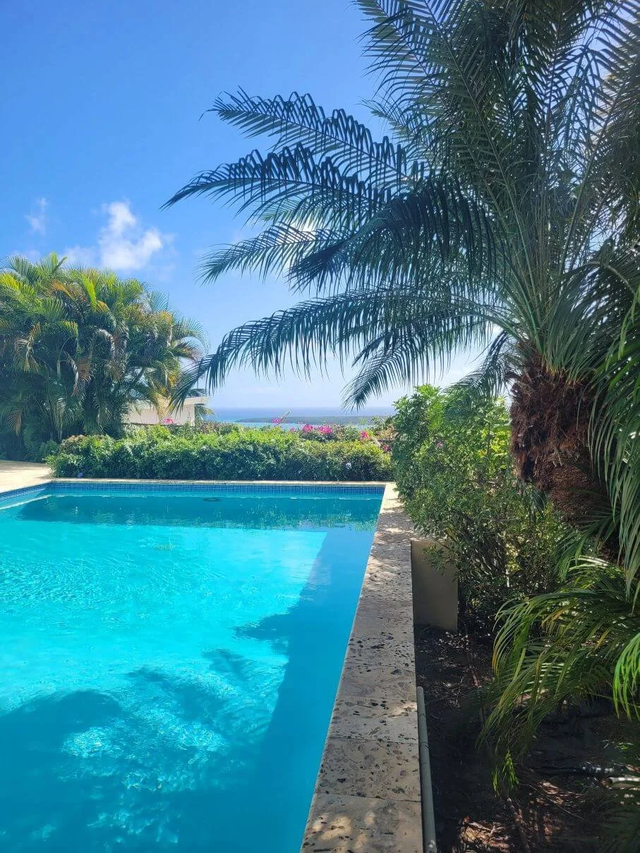 A swimming pool surrounded by tropical plants and trees, with a view of the ocean in the distance under a clear blue sky.
