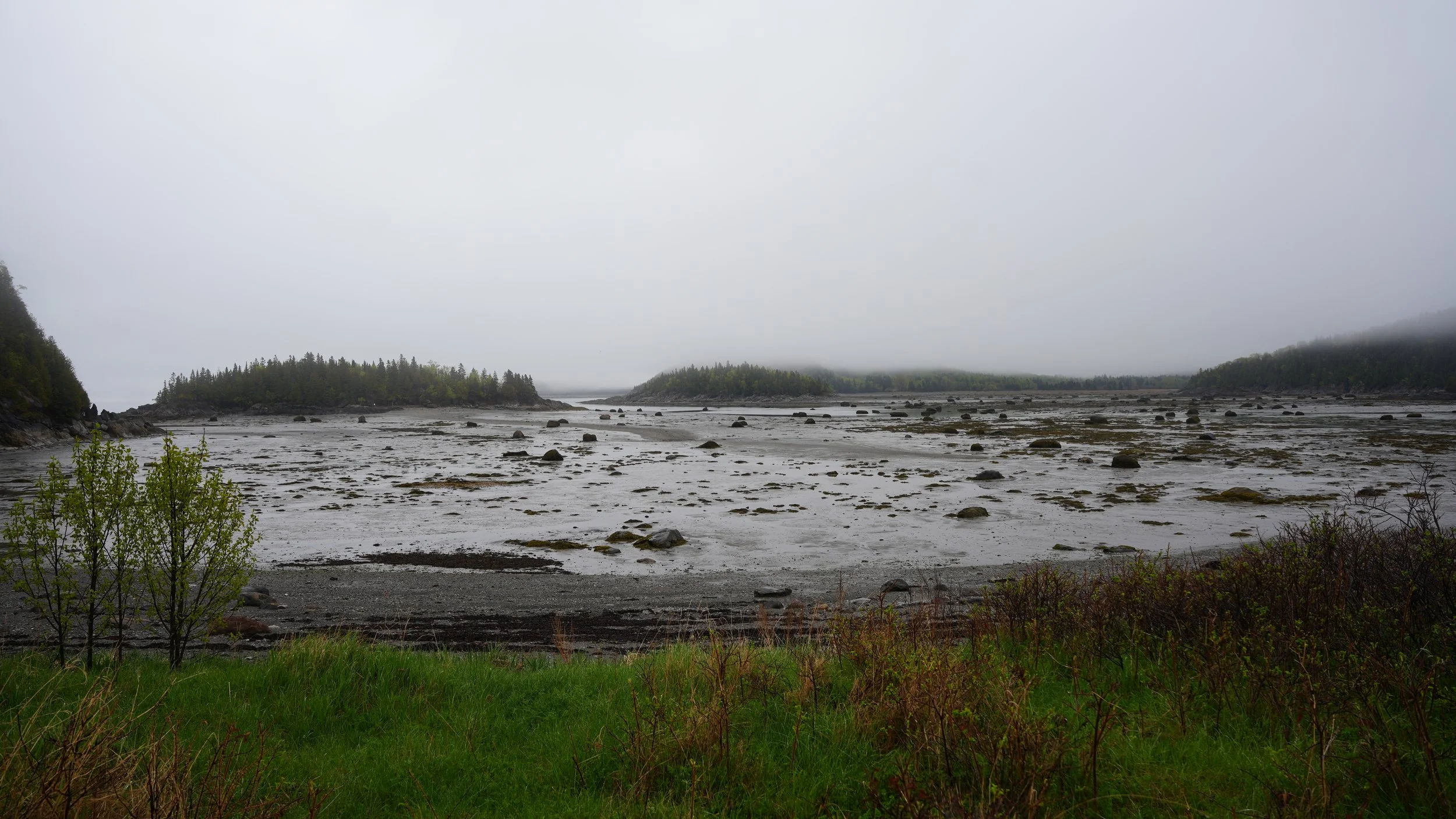DSC08199.JPG