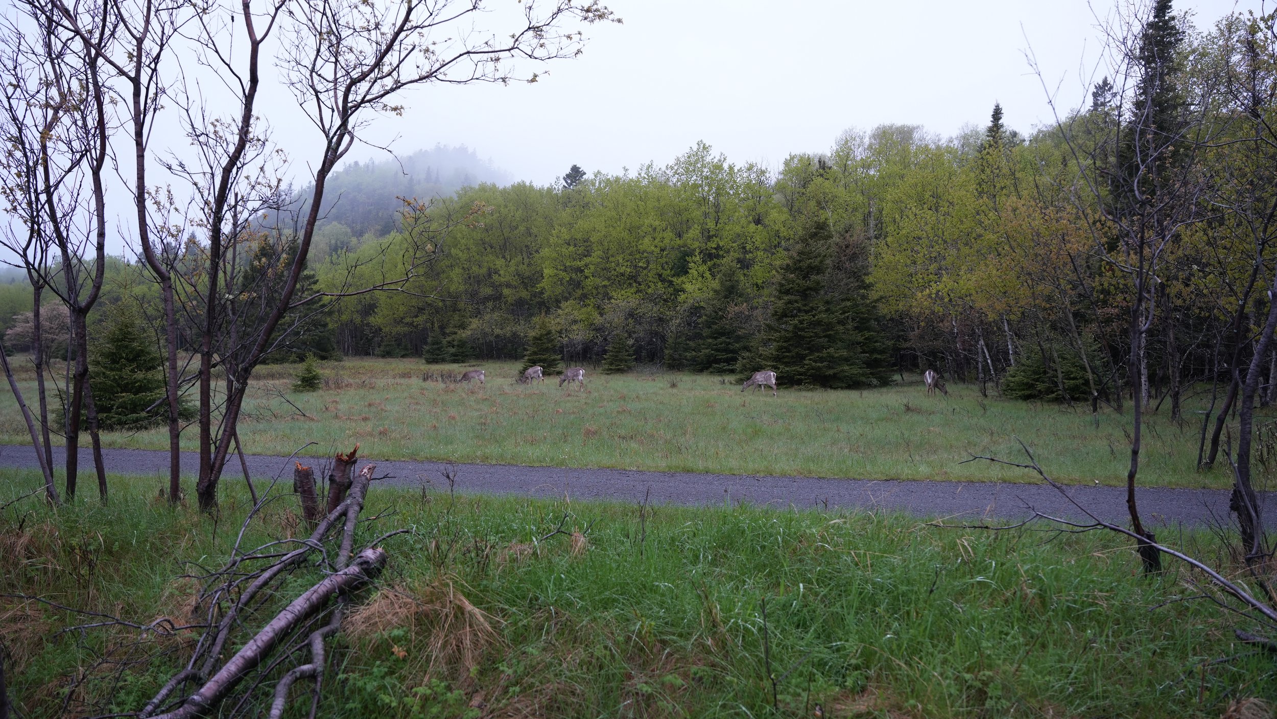 DSC08272.JPG