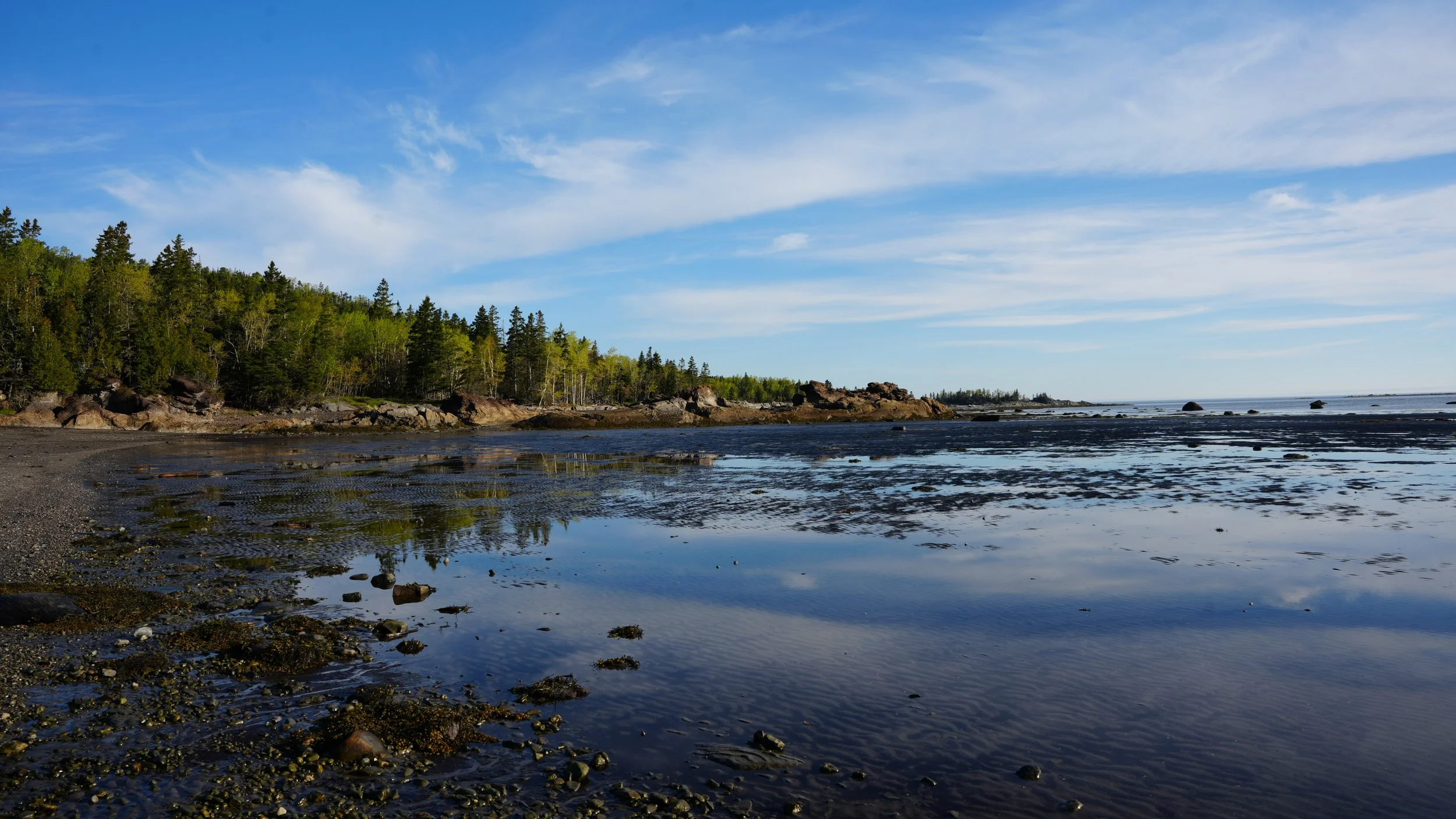 DSC08354.JPG