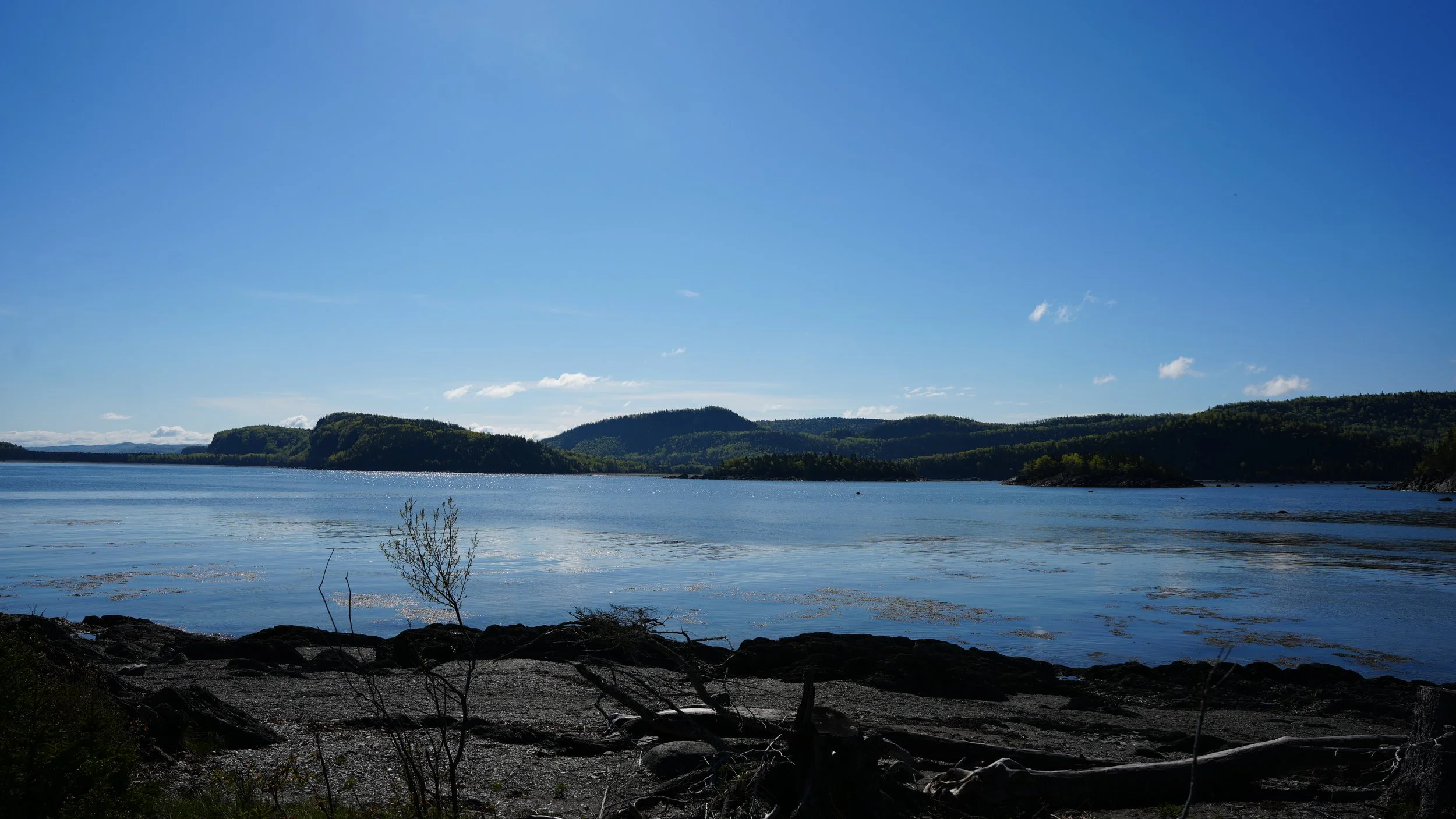DSC08414.JPG