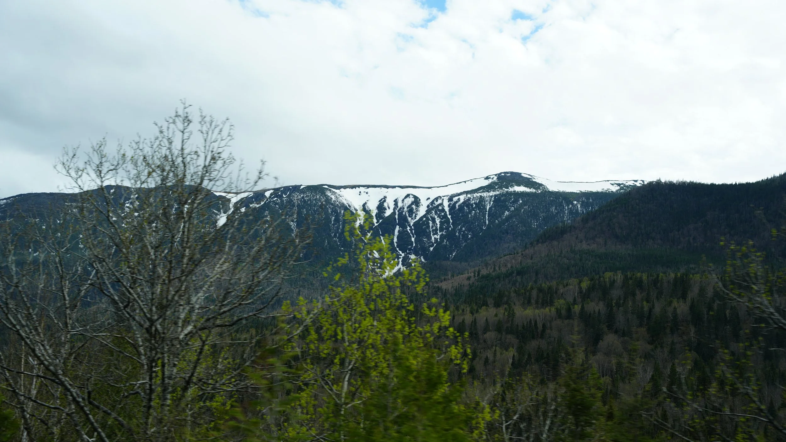 DSC08533.JPG