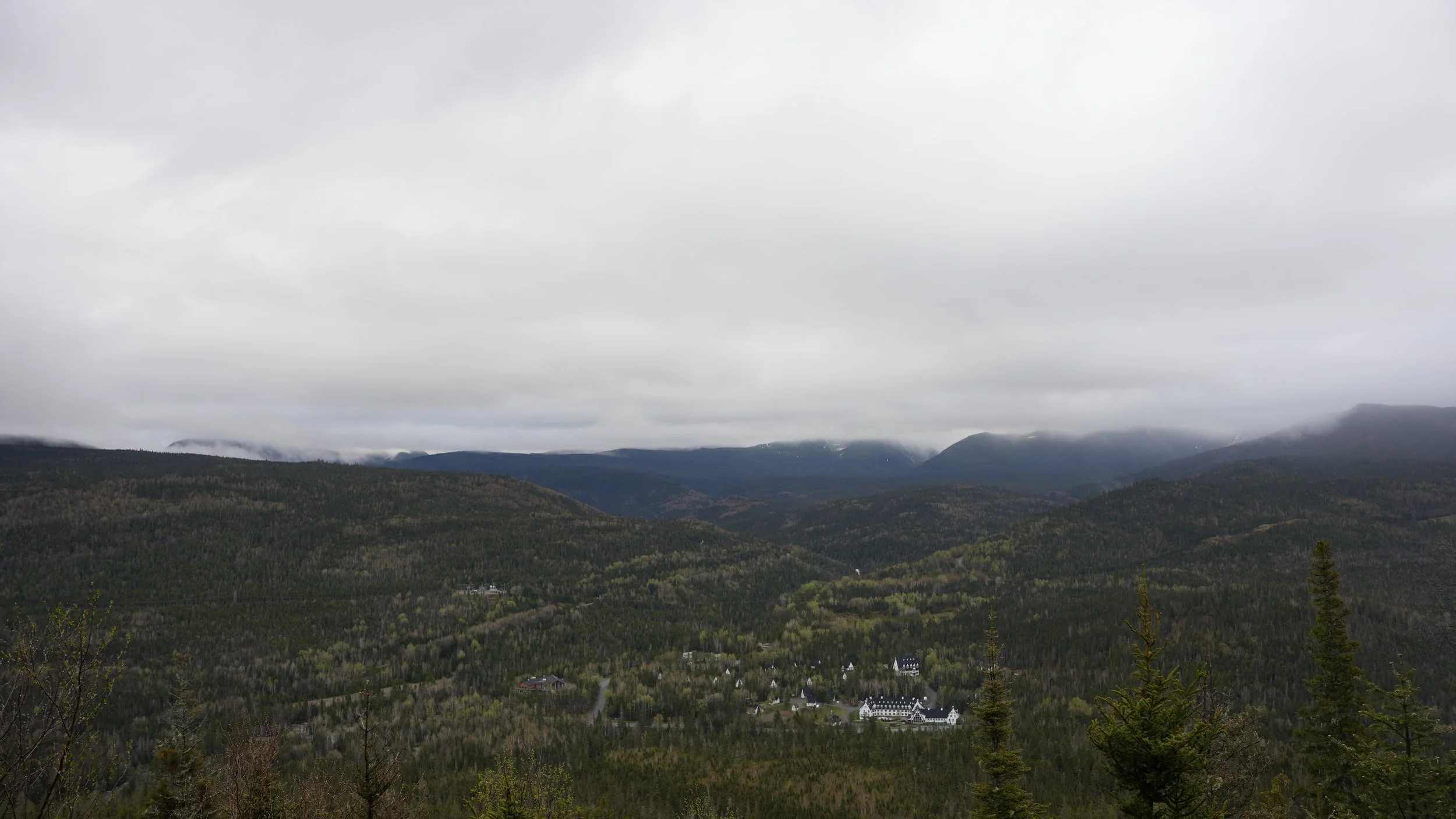 DSC08568.JPG