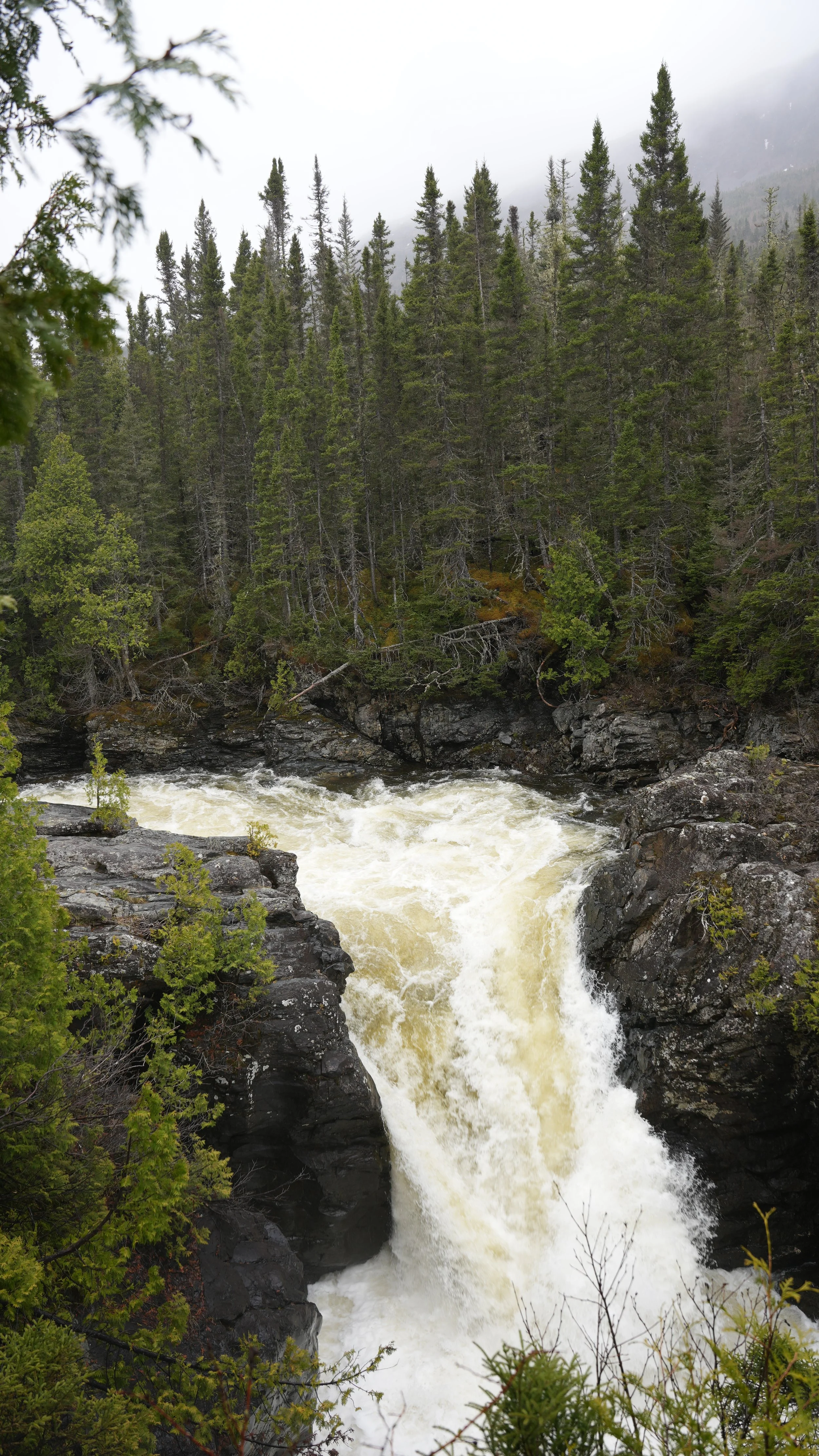 DSC08668.JPG