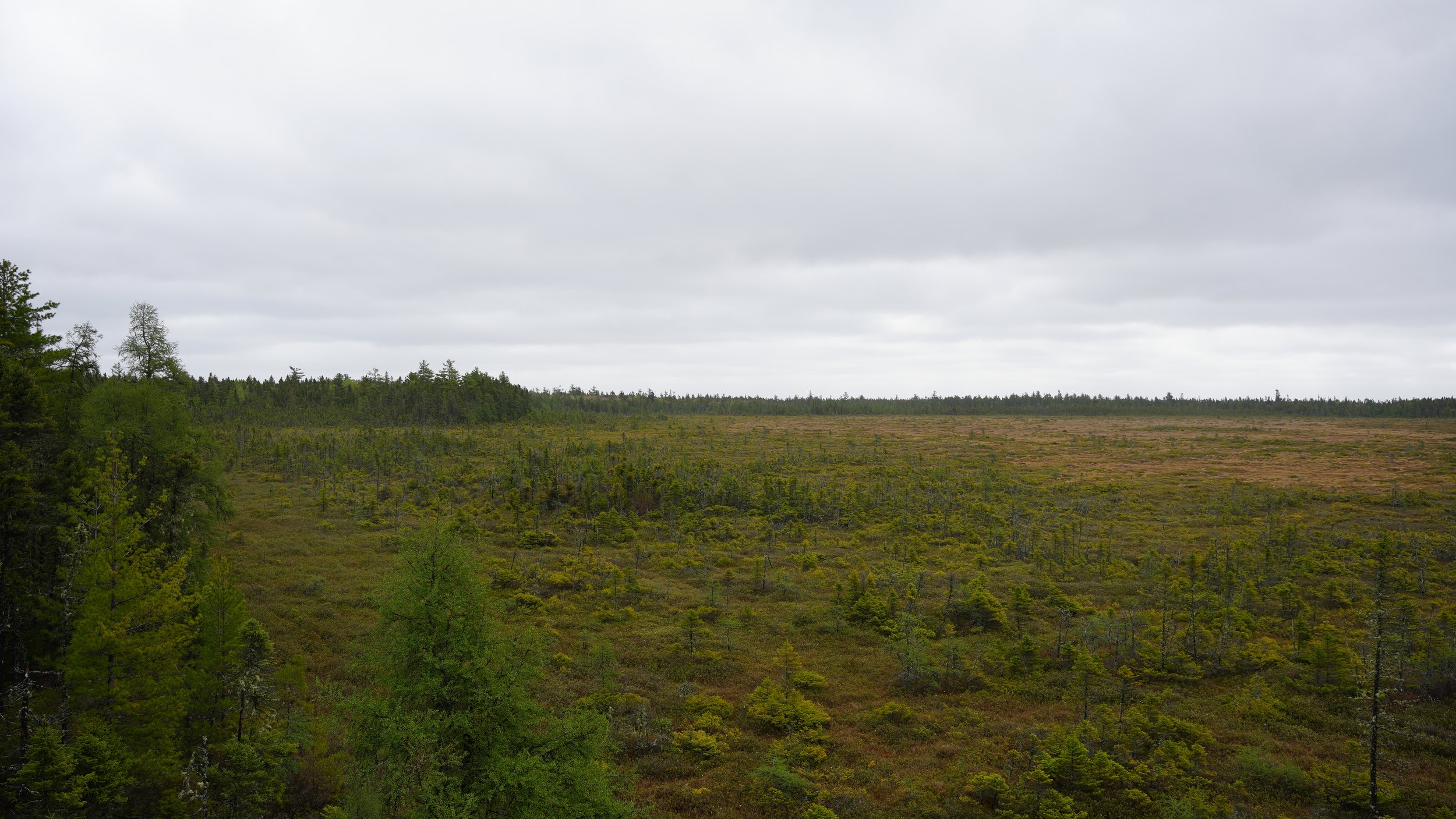 DSC08878.JPG