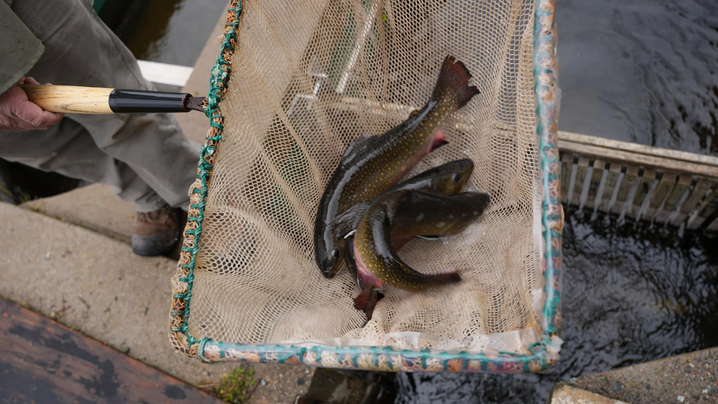 DSC09301.JPG