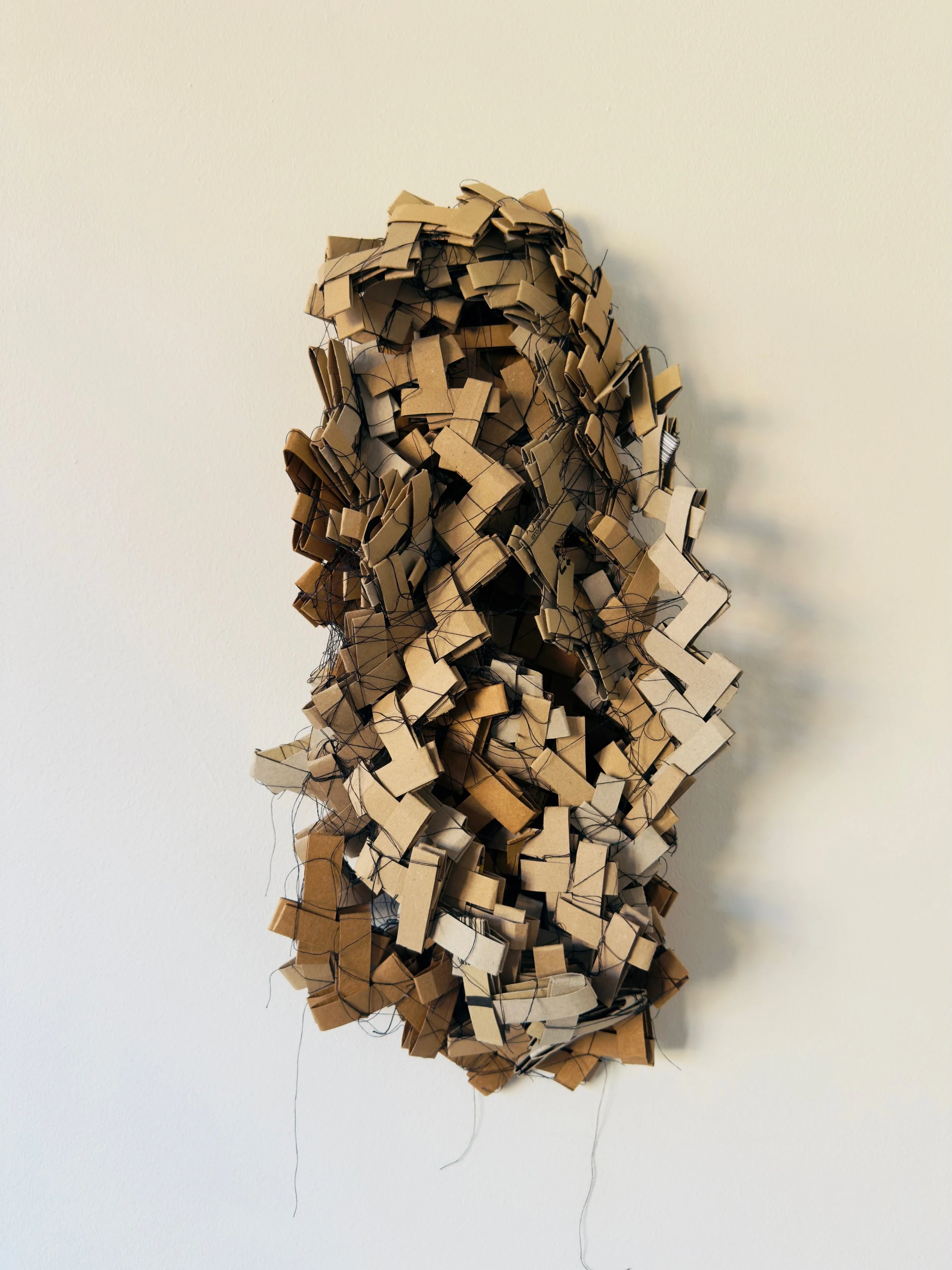 Track your Parcel Nov 2025. Amazon Packaging, Thread and masking tape. Image: Richard Beach