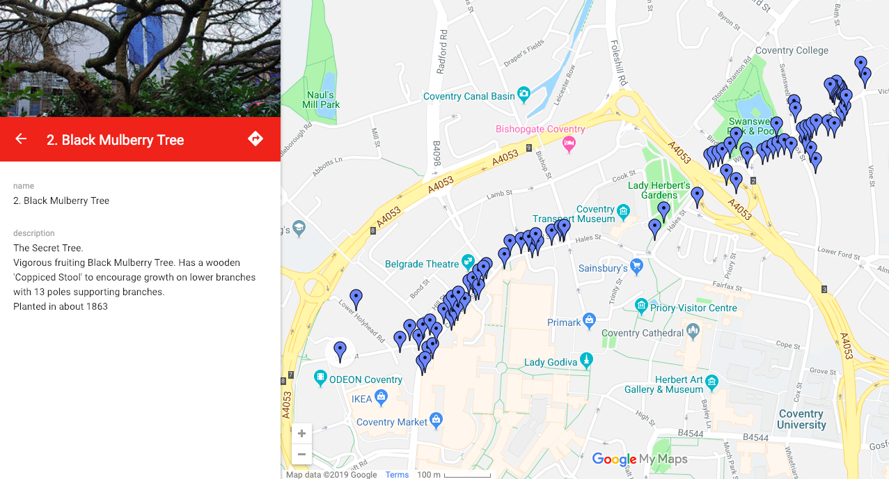 Trees of the City 2014-15. Socialy engaged research project commissioned by Coventry Artspace. https://treesofthecity.wordpress.com/